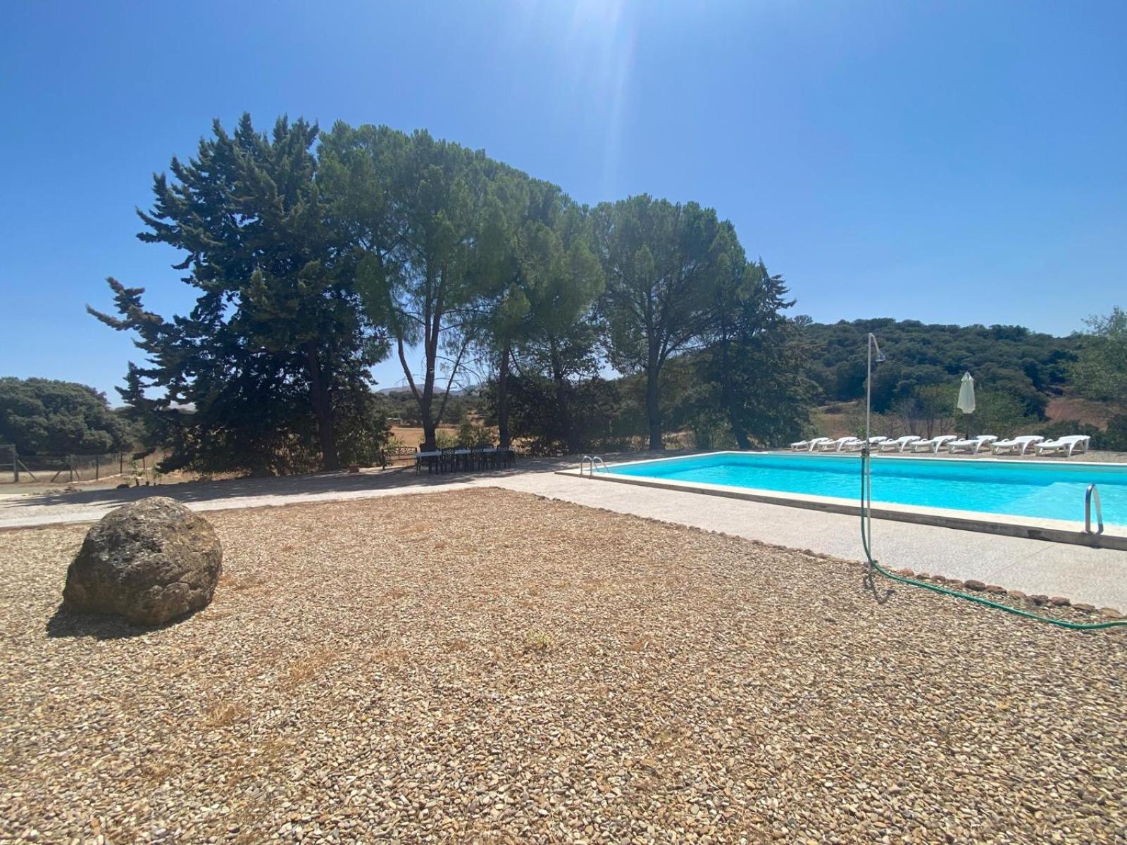 Cortijo El Contarín - Amplia casa rural con piscina privada y chimenea cerca de Archidona, Málaga view 5