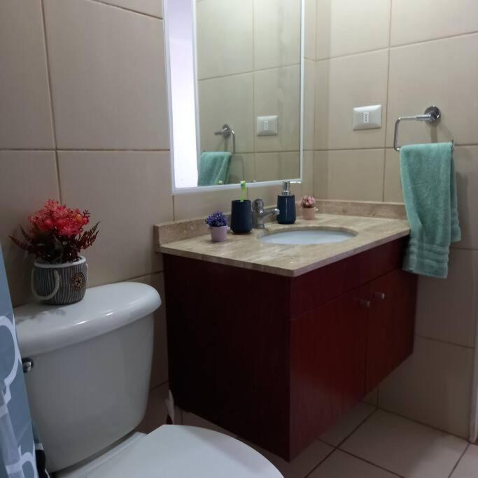 Hermoso Departamento tranquilo y muy silencioso ideal para el descanso