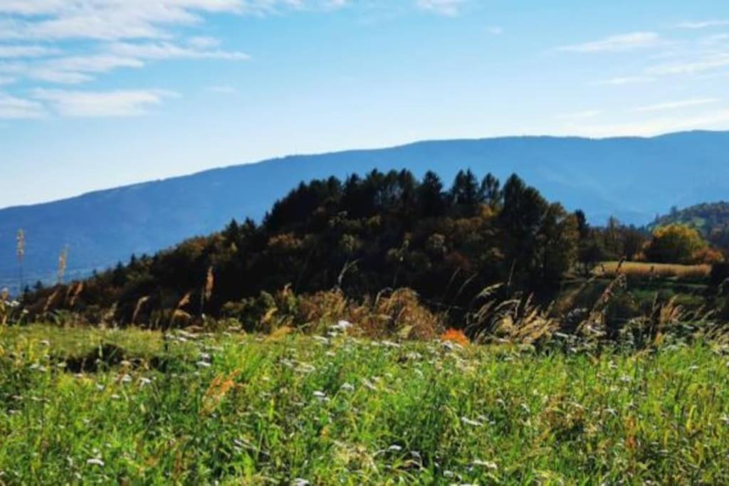 Tojzlov vrh v osrčju narave view 4