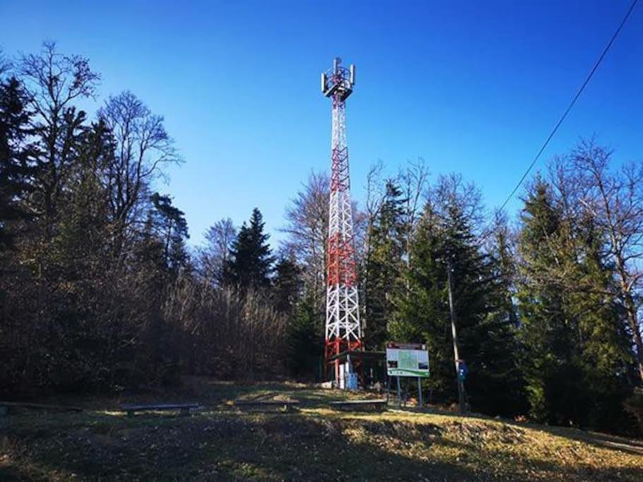 Tojzlov vrh v osrčju narave view 3