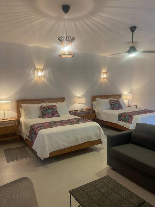 Casa Palmera Encuentro Cabarete Comfort y Naturaleza cerca de Todo