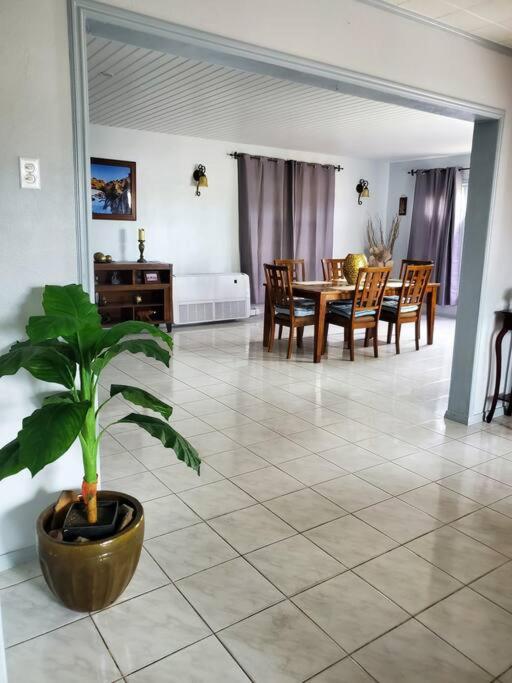 My Dushi Home