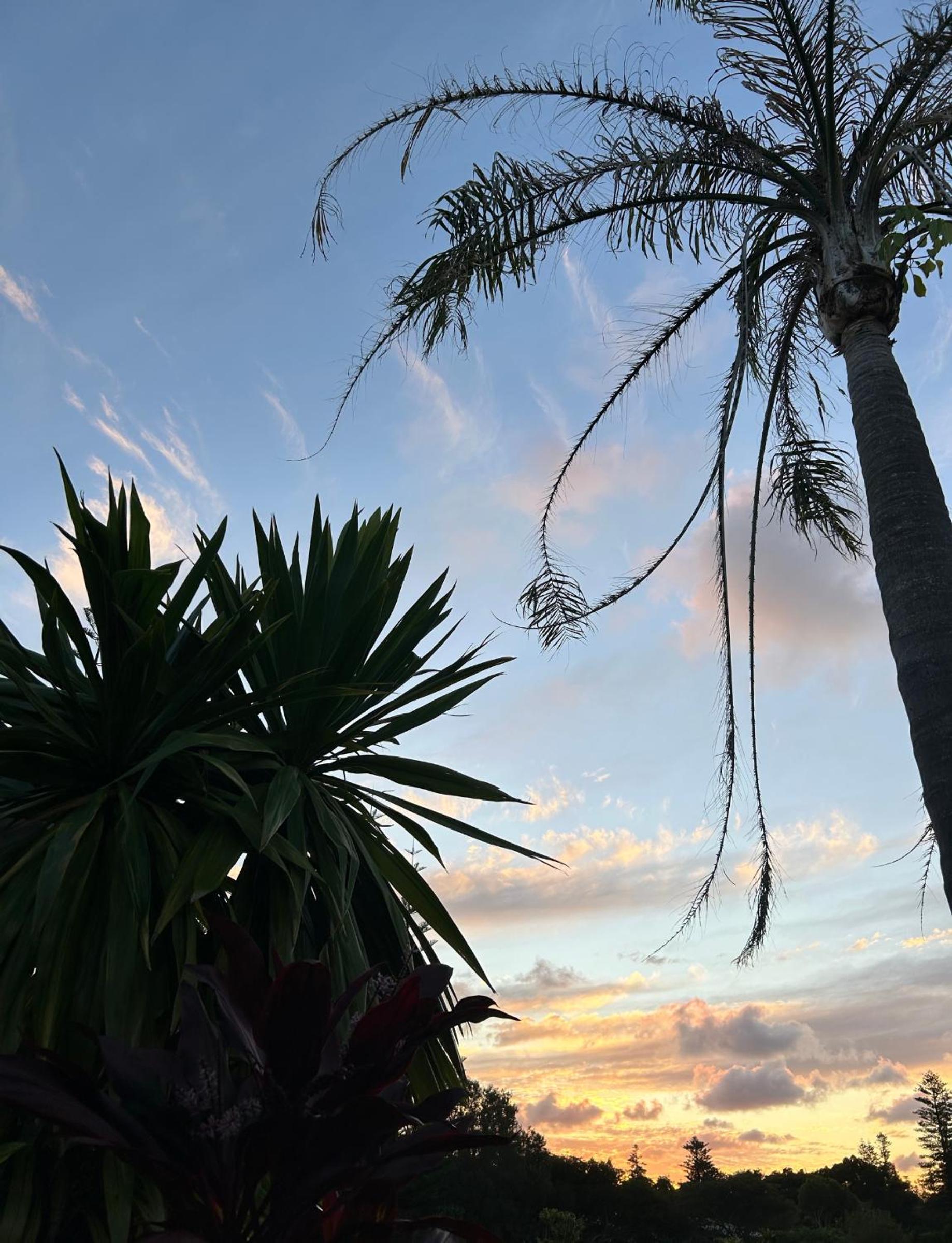 Poinciana Cottages