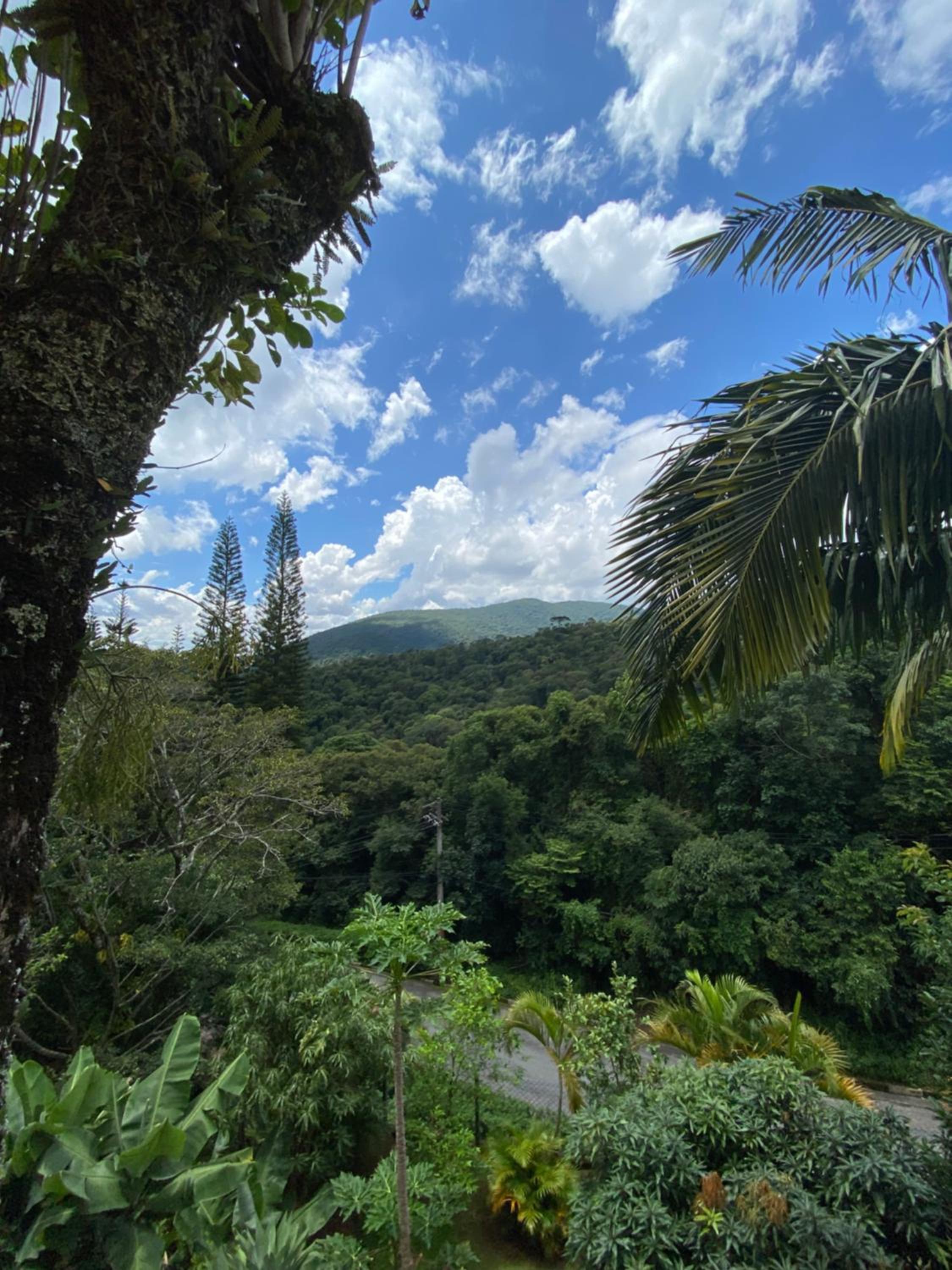A grande casa da montanha Casa de campo por temporada