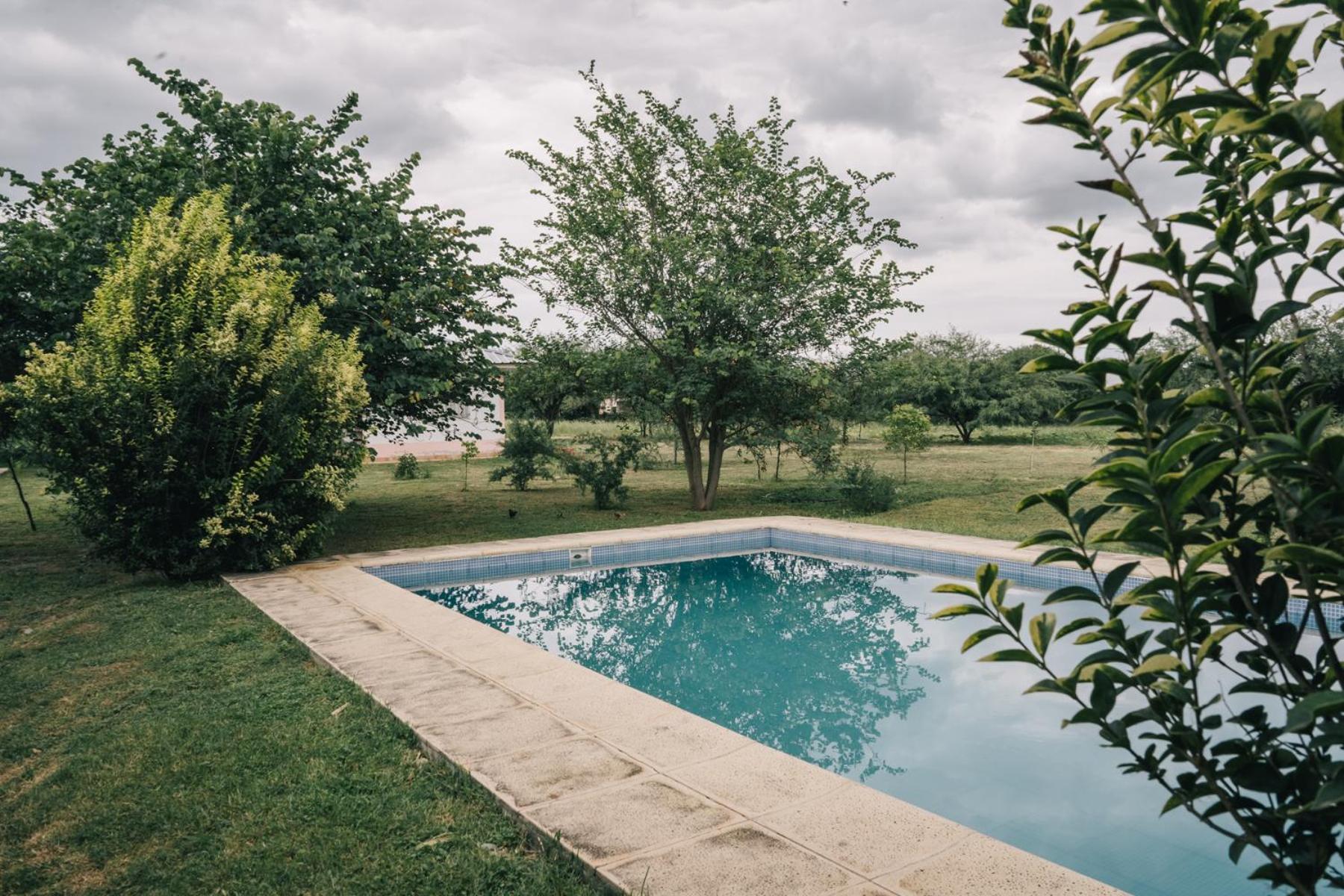 Las Moras Del Manantial