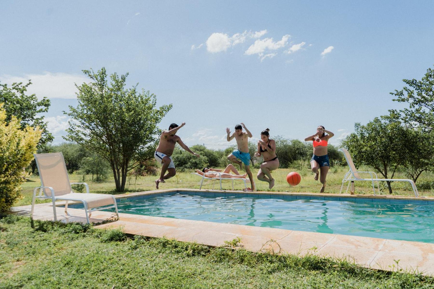 Las Moras Del Manantial