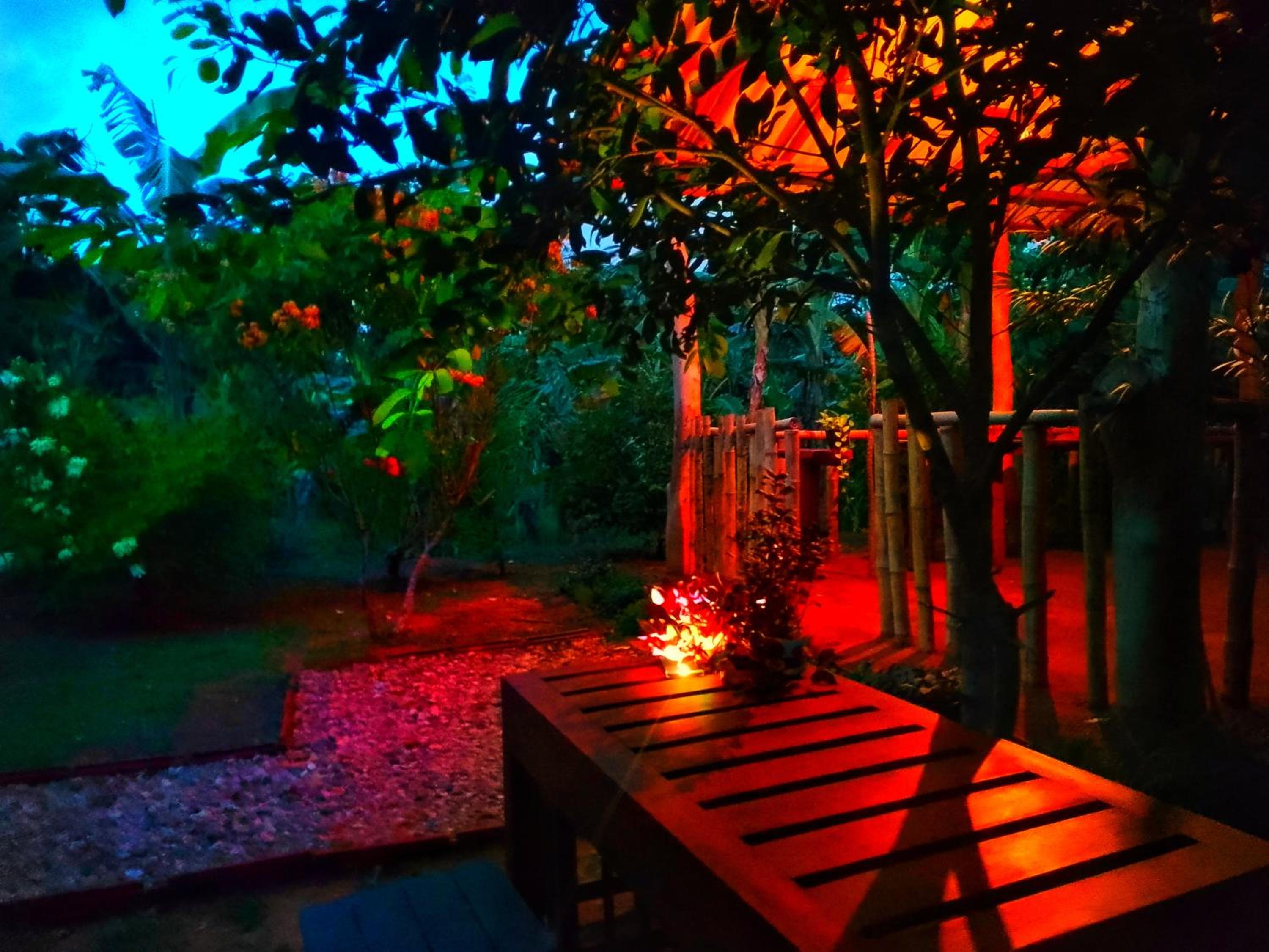 Banana Shade Cottage