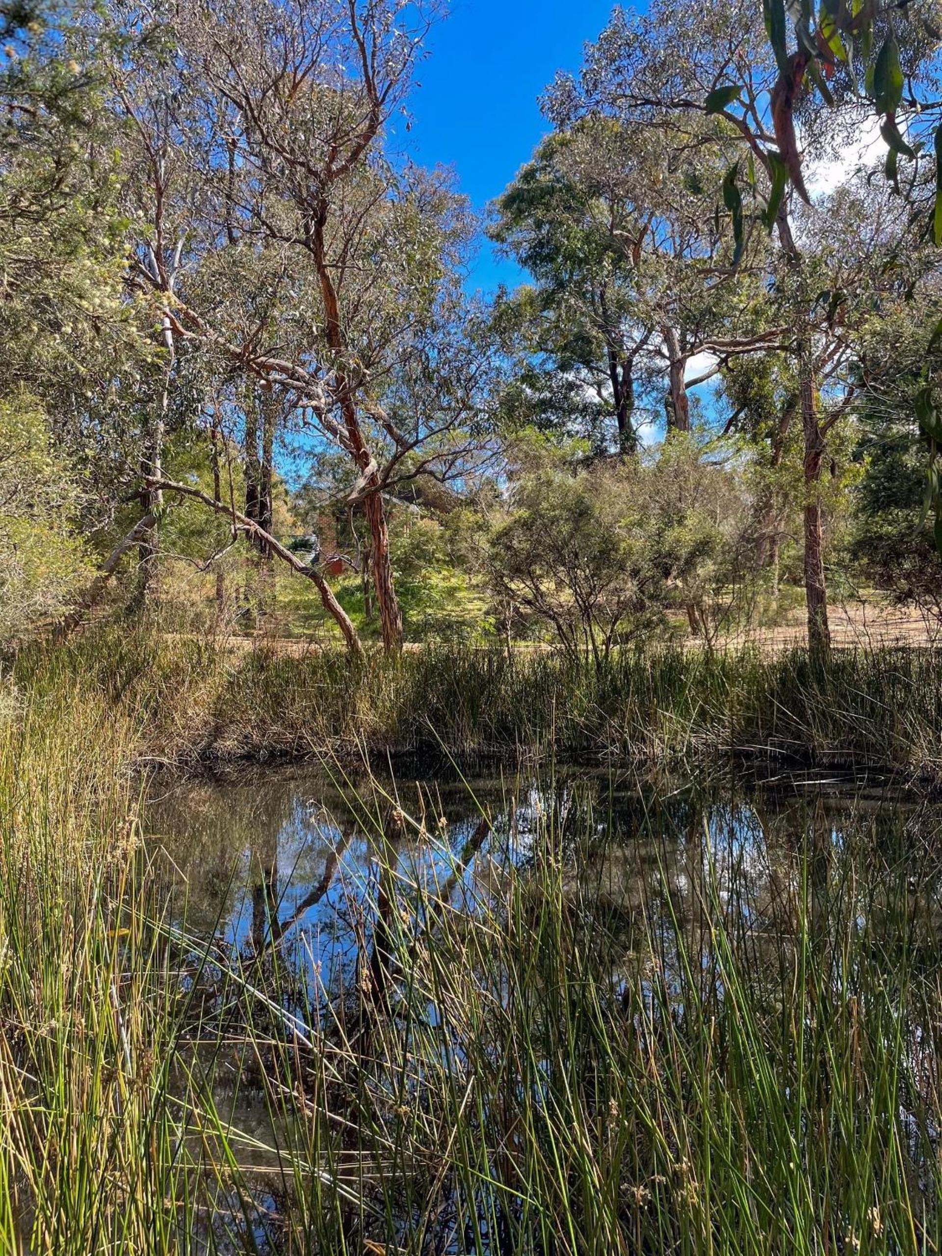 Bells Beach Acreage and Tranquility