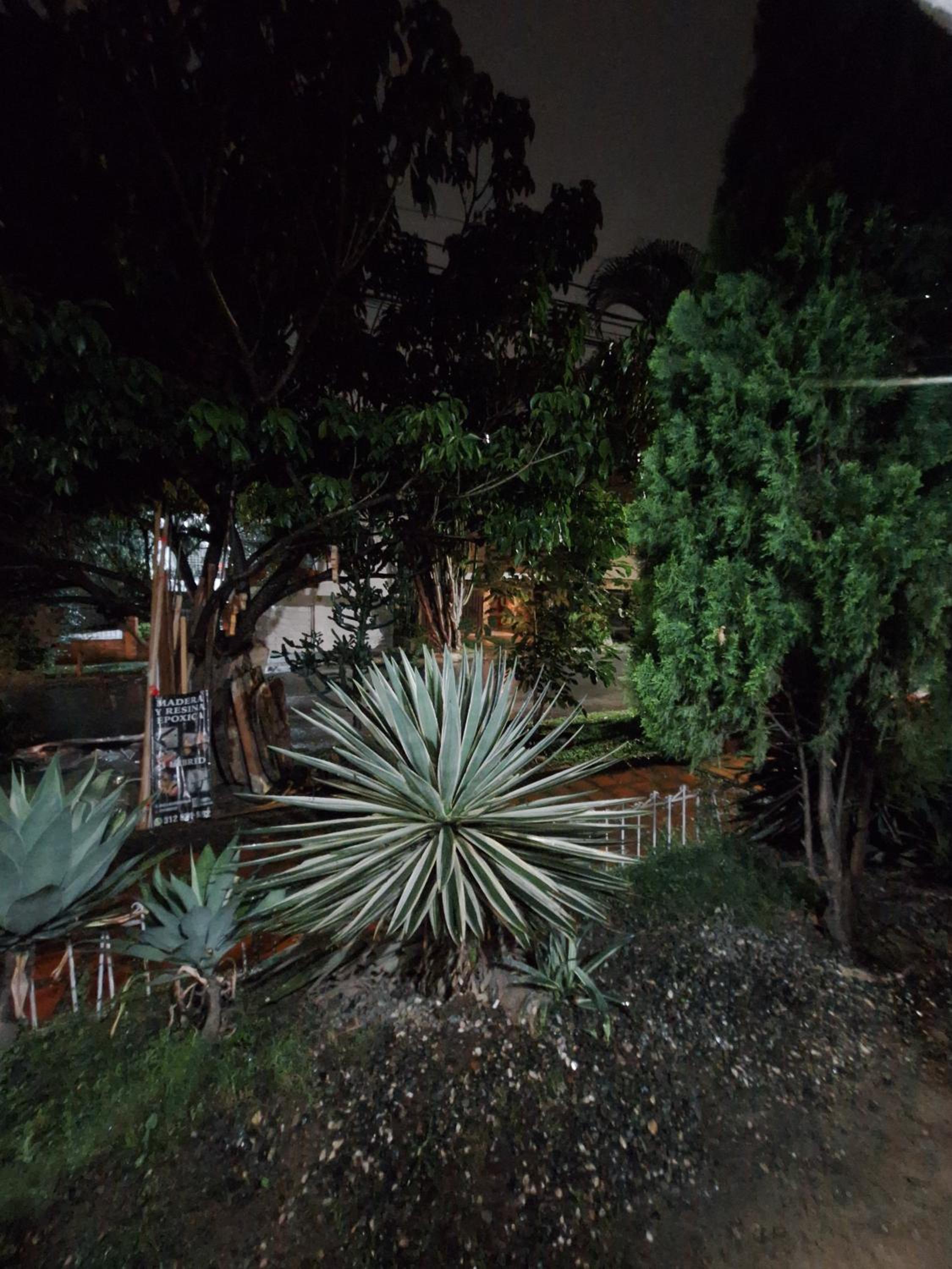 Casa Babylon