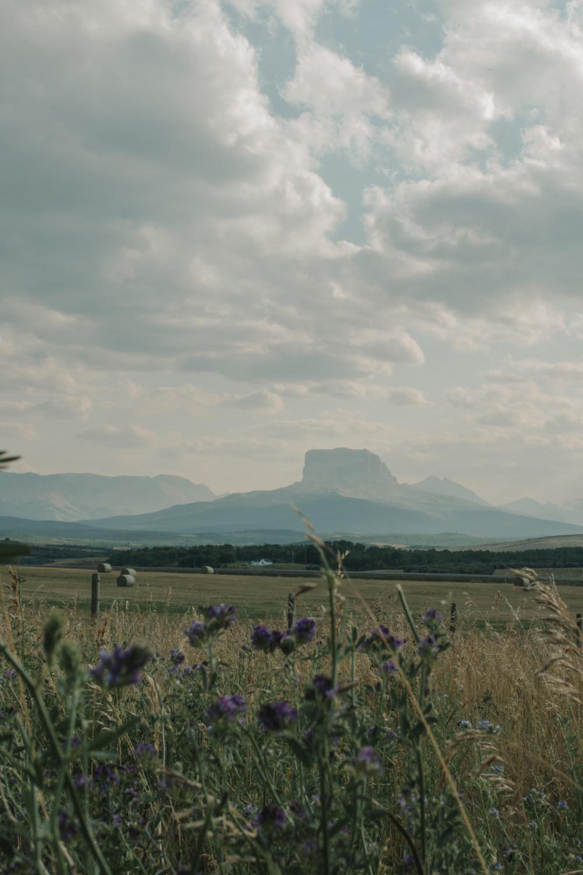 Chief Mountain Cabins