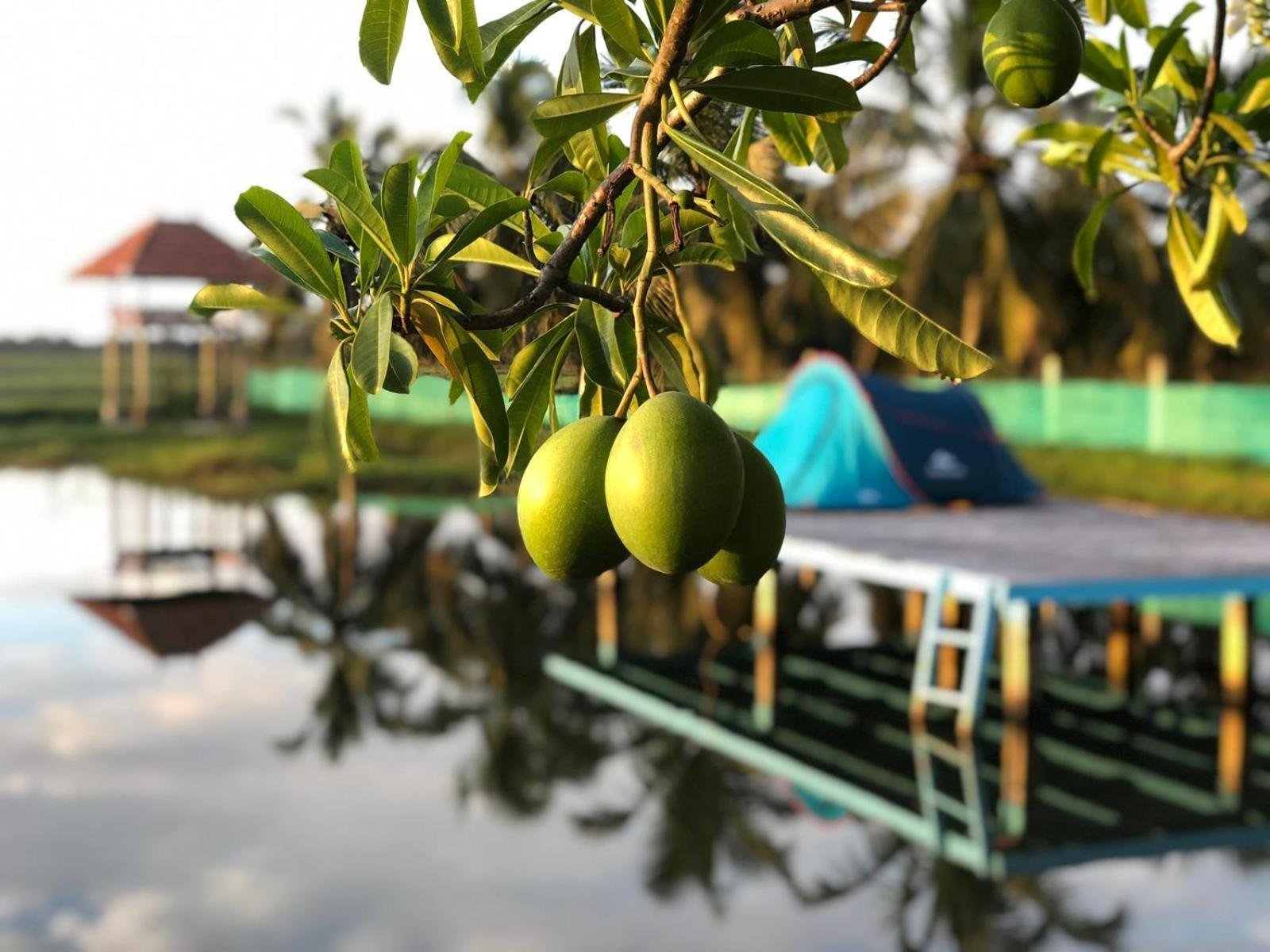 Pambaram Farms