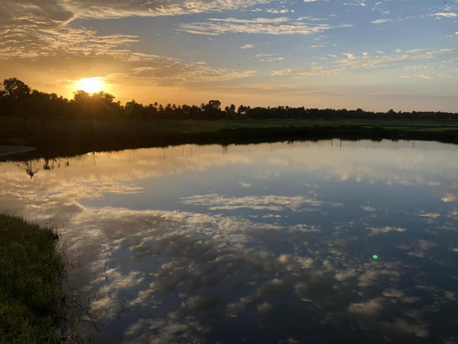Pambaram Farms