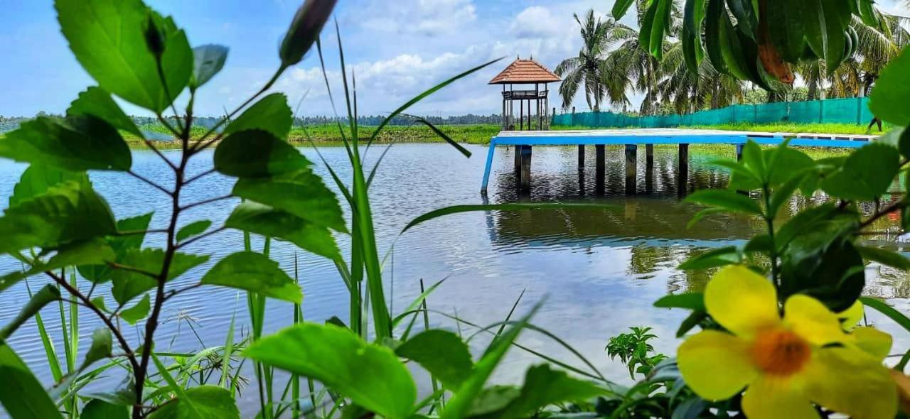 Pambaram Farms