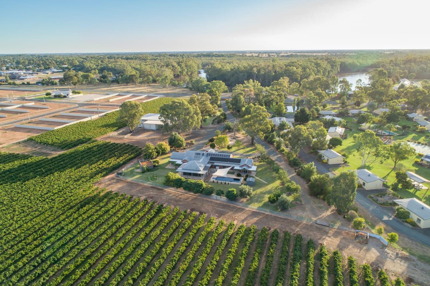 Nepeta Cataria Estate - Echuca Holiday Homes