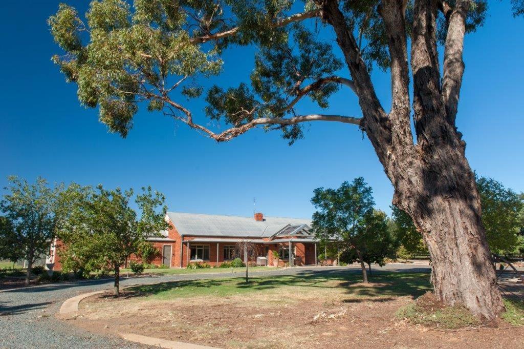 Nepeta Cataria Estate - Echuca Holiday Homes