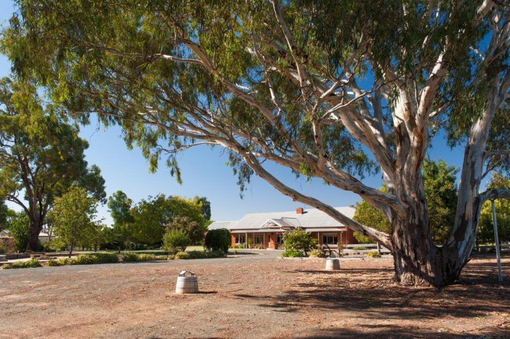 Nepeta Cataria Estate - Echuca Holiday Homes