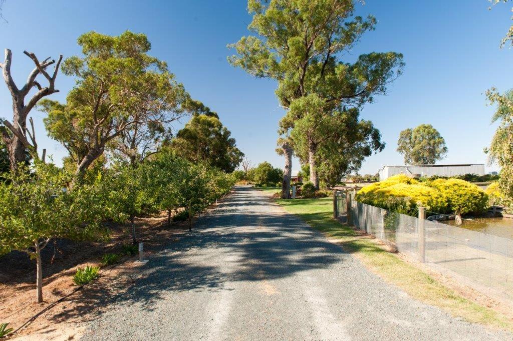 Nepeta Cataria Estate - Echuca Holiday Homes