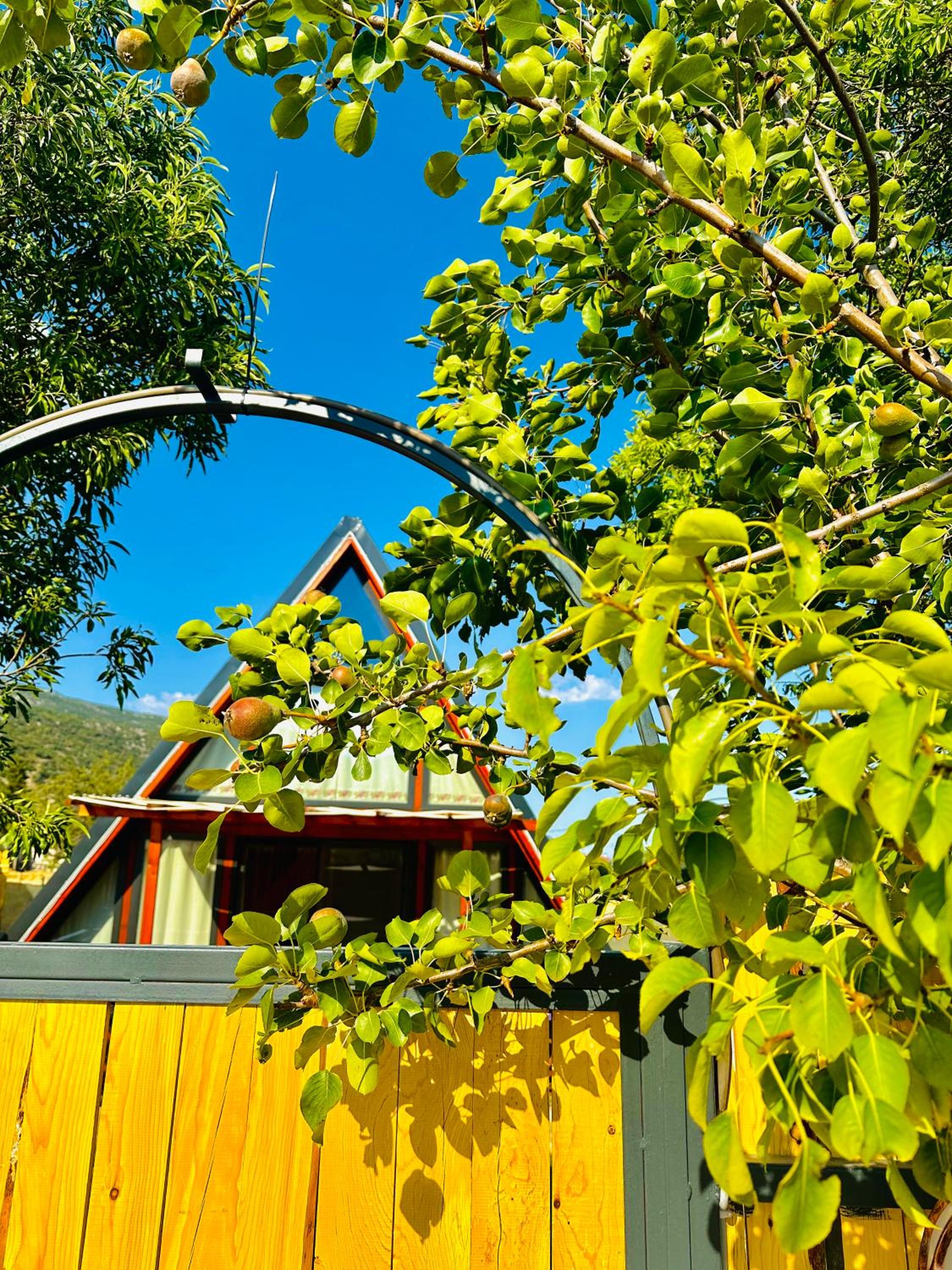 Kalkan'da Doğal Ahşap Ev, 2 Yatak Odası, 1 Banyo, Wi-Fi