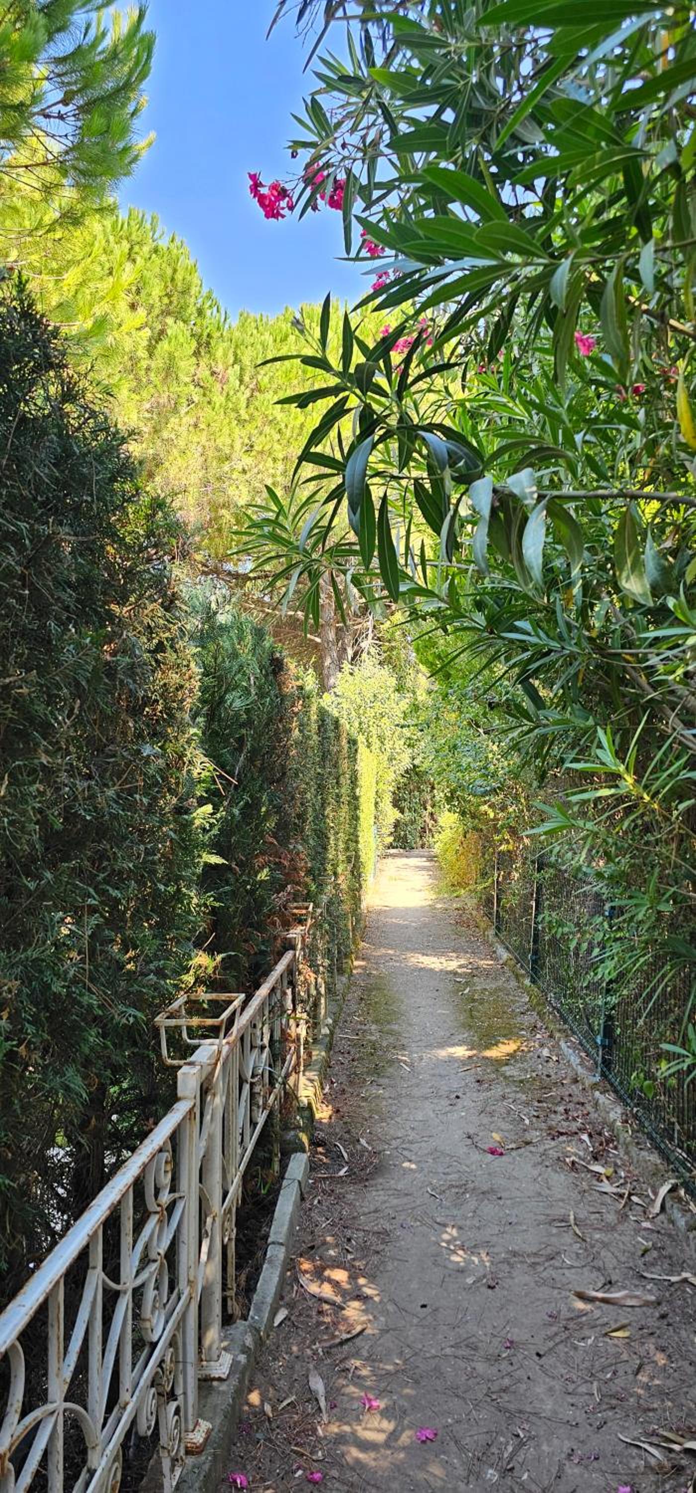 Vila E5