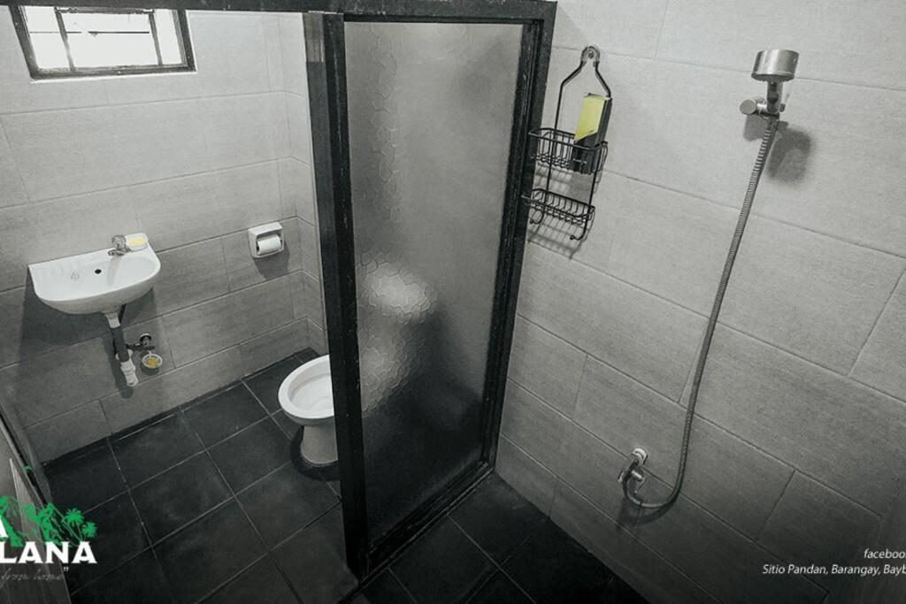 Photo 23