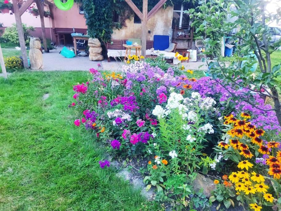 Apartment in blossom garden