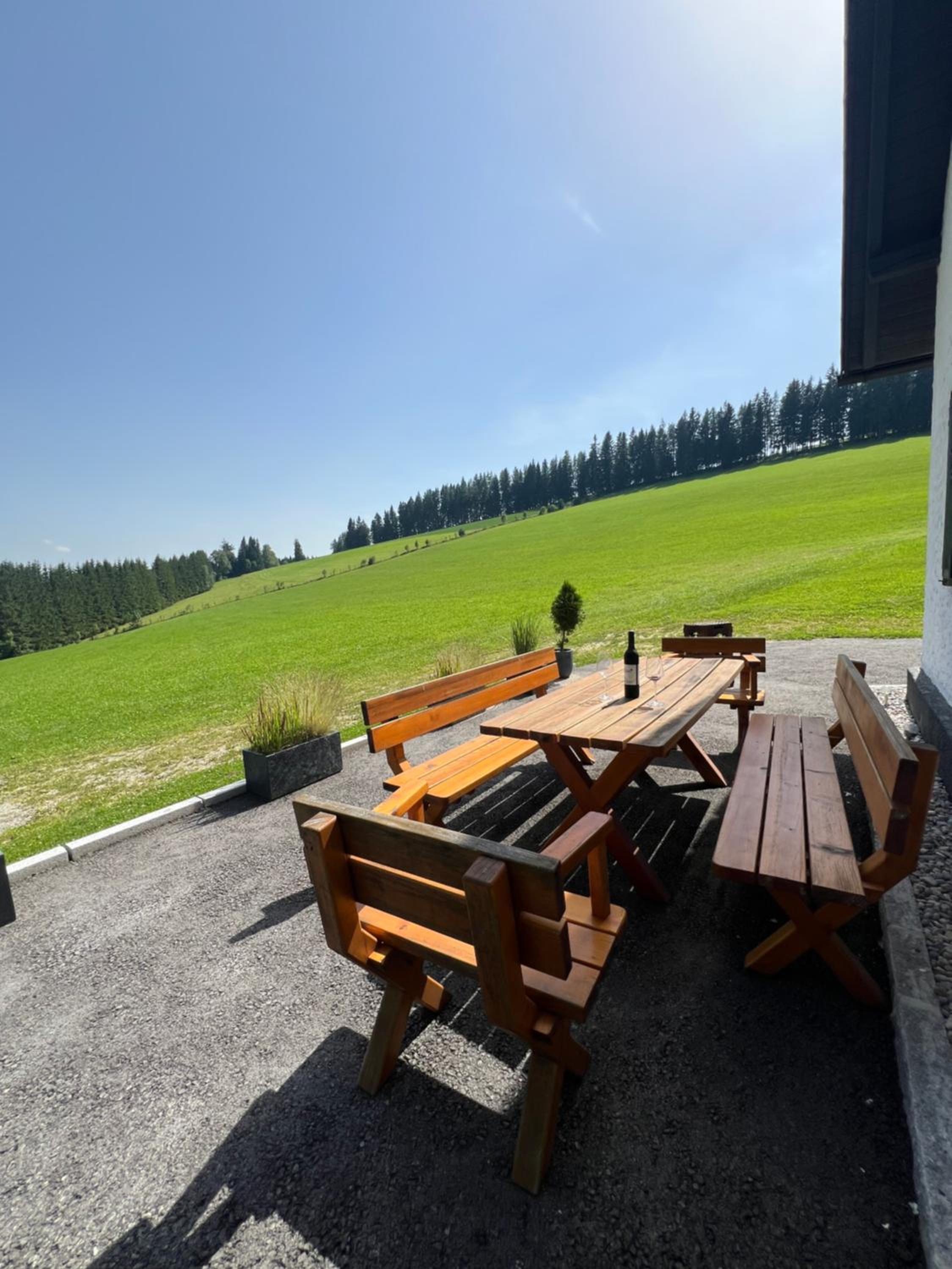Waldheimatblick