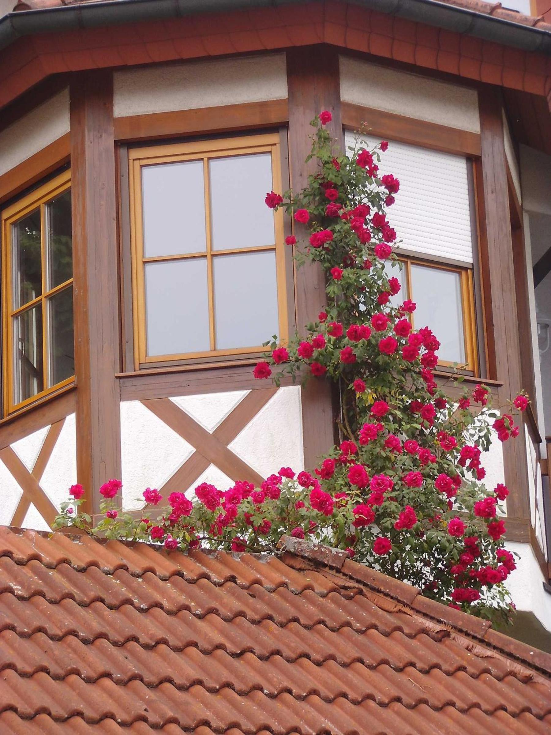 Ferienwohnung Armitter