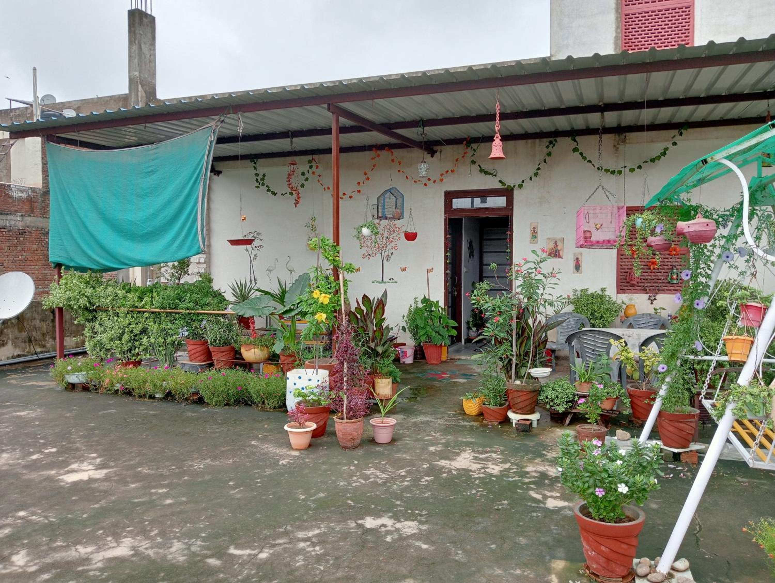 roof