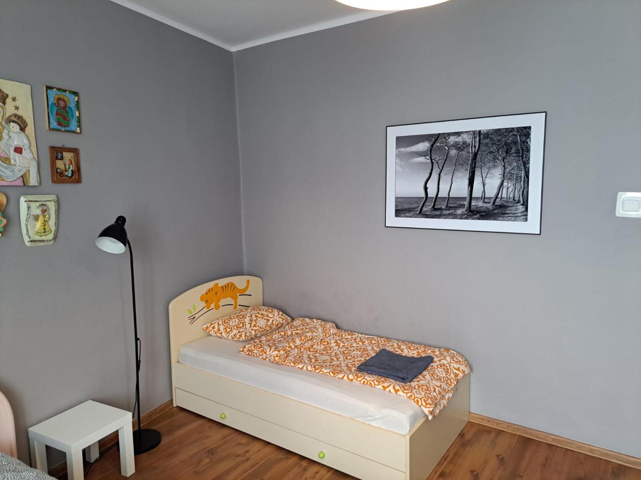 Comfortable Apartment close to Spodek, photo 16