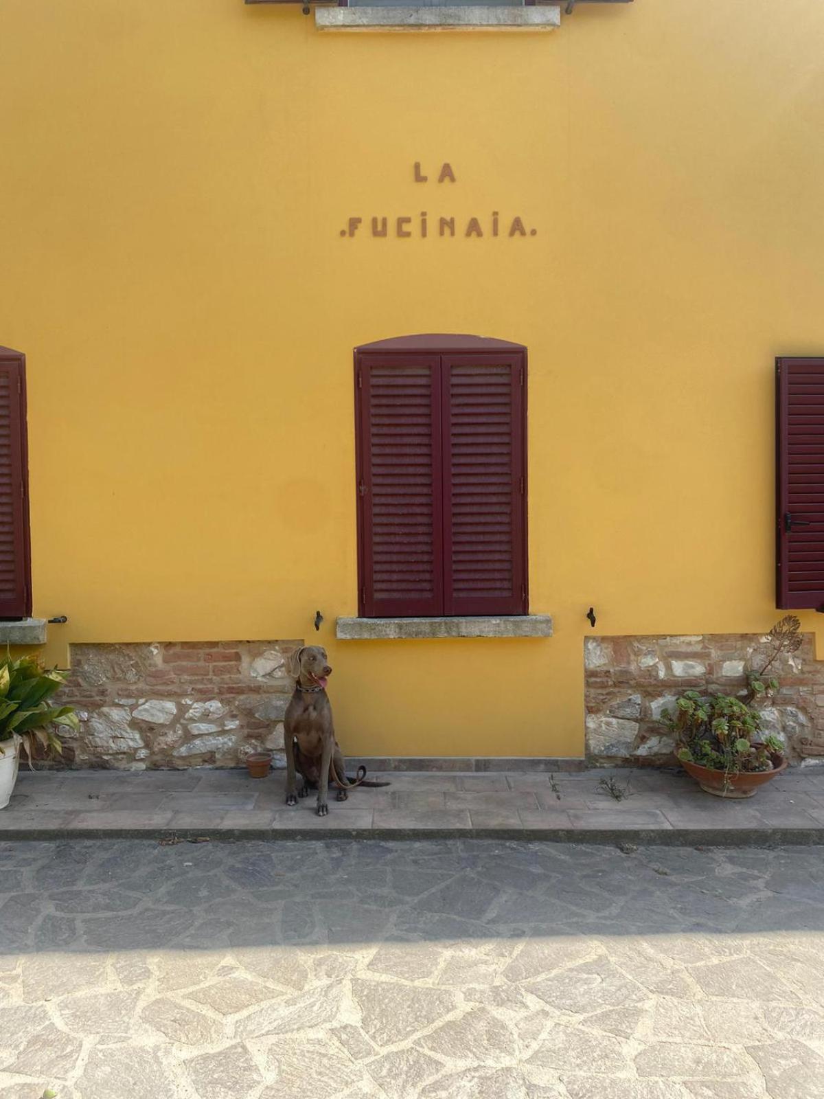 B&B La Fucinaia Pet Friendly view 2