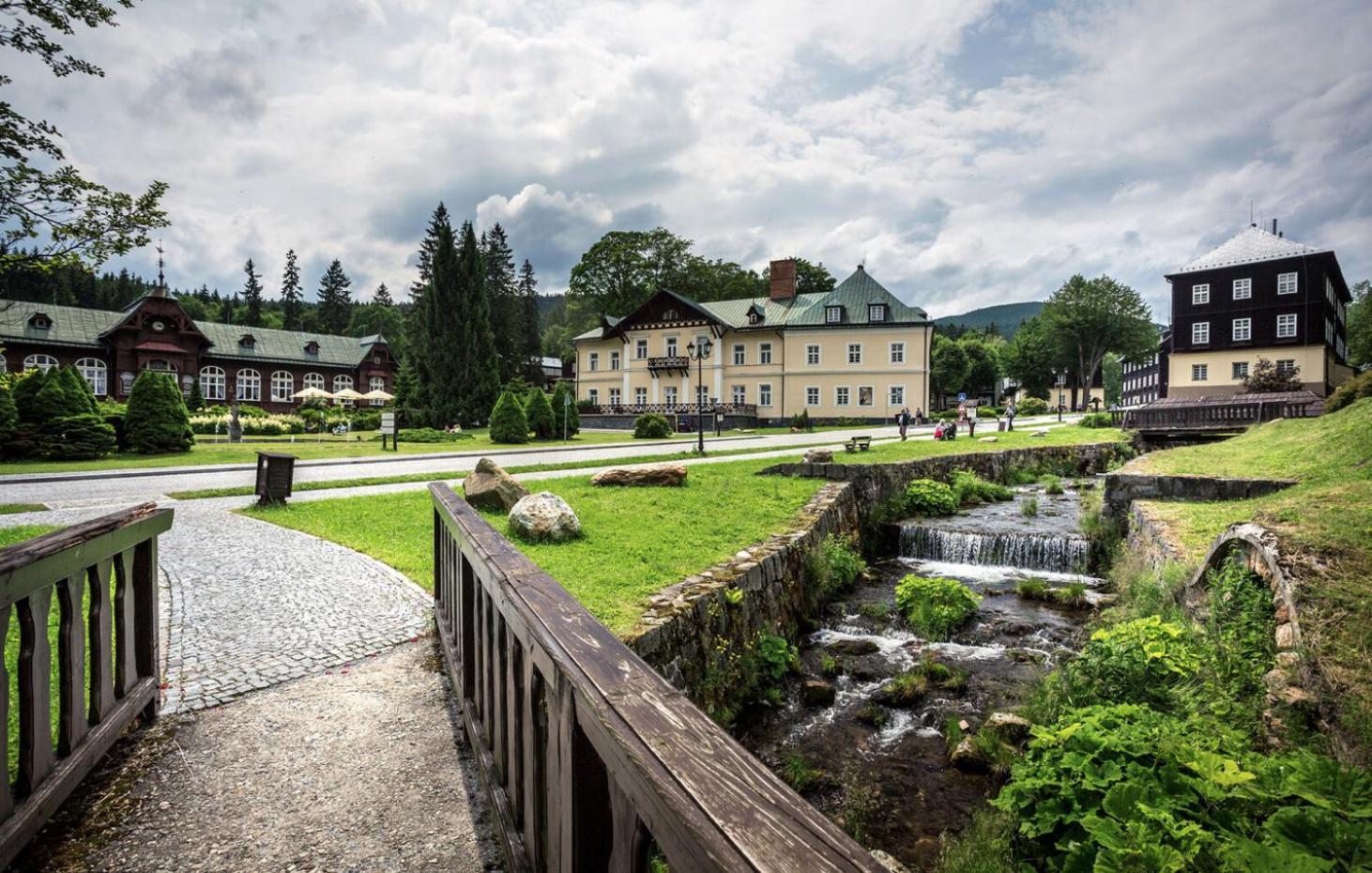 Forest retreat apartino - u lesa, parkování zdarma, Starlink 250 Mbs, terasa & grill, soukromé ohniště, nespresso, netflix