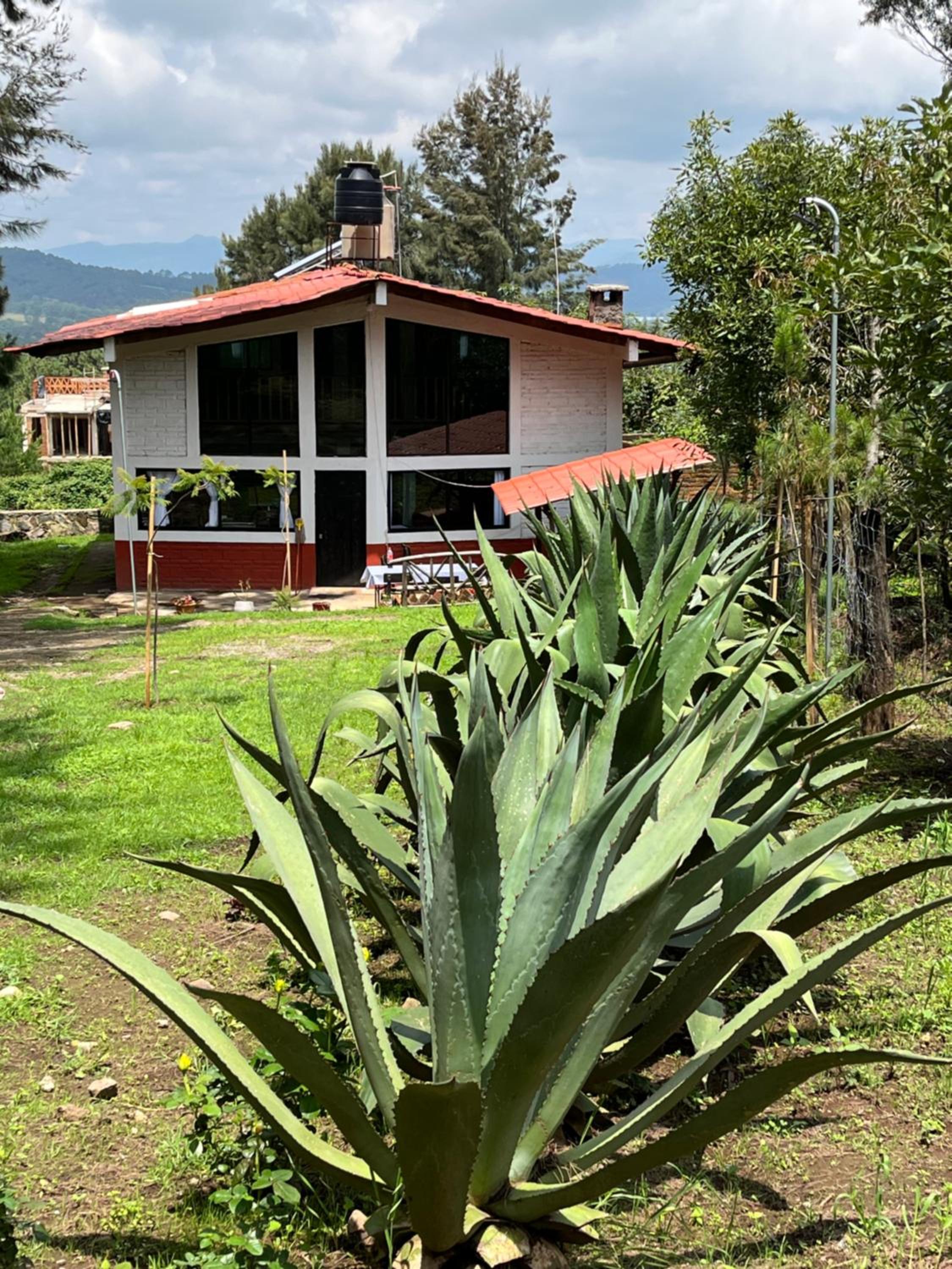 Linda Vista 3