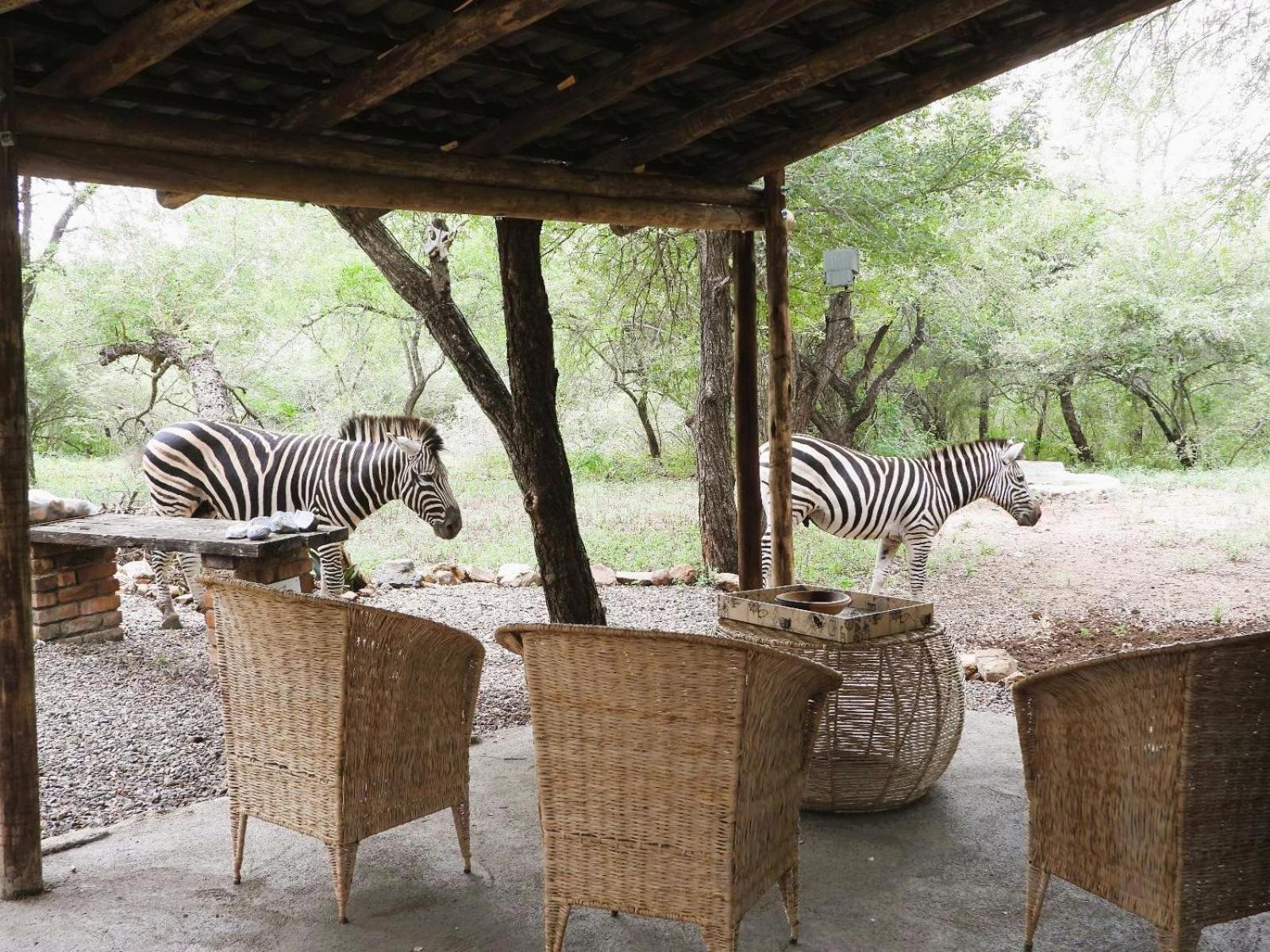 Elephant Memories Glamping Safari Tents and more
