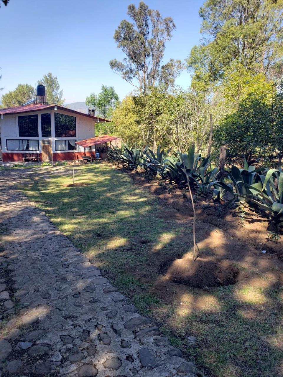 Linda Vista 3