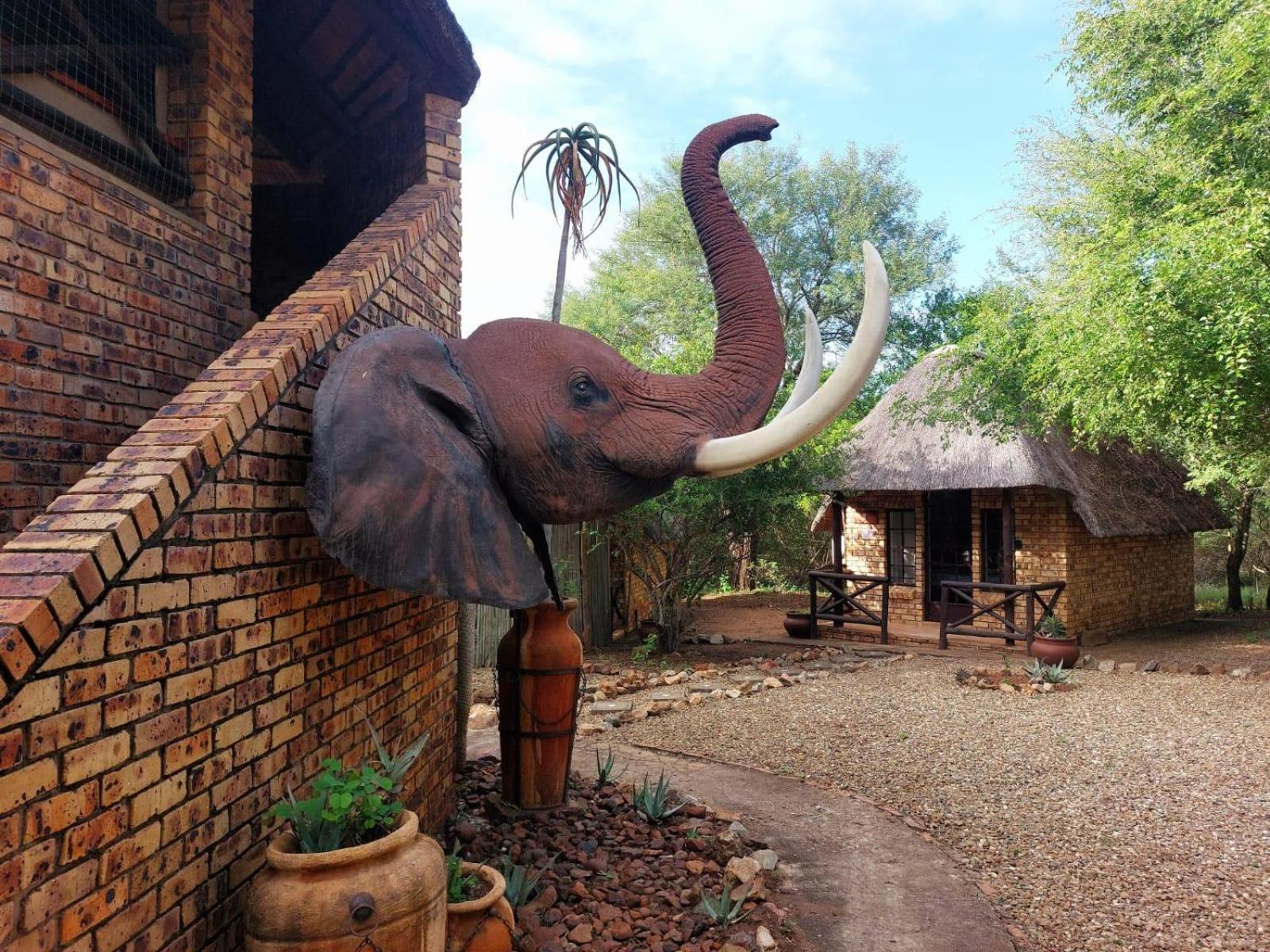 Elephant Memories Glamping Safari Tents and more