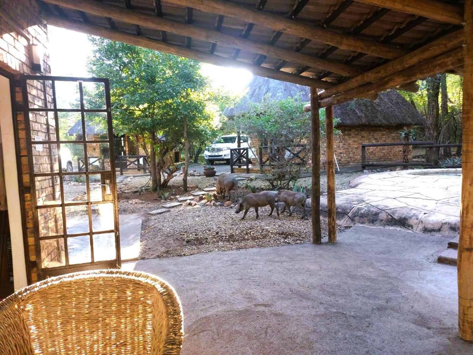 Elephant Memories Glamping Safari Tents and more