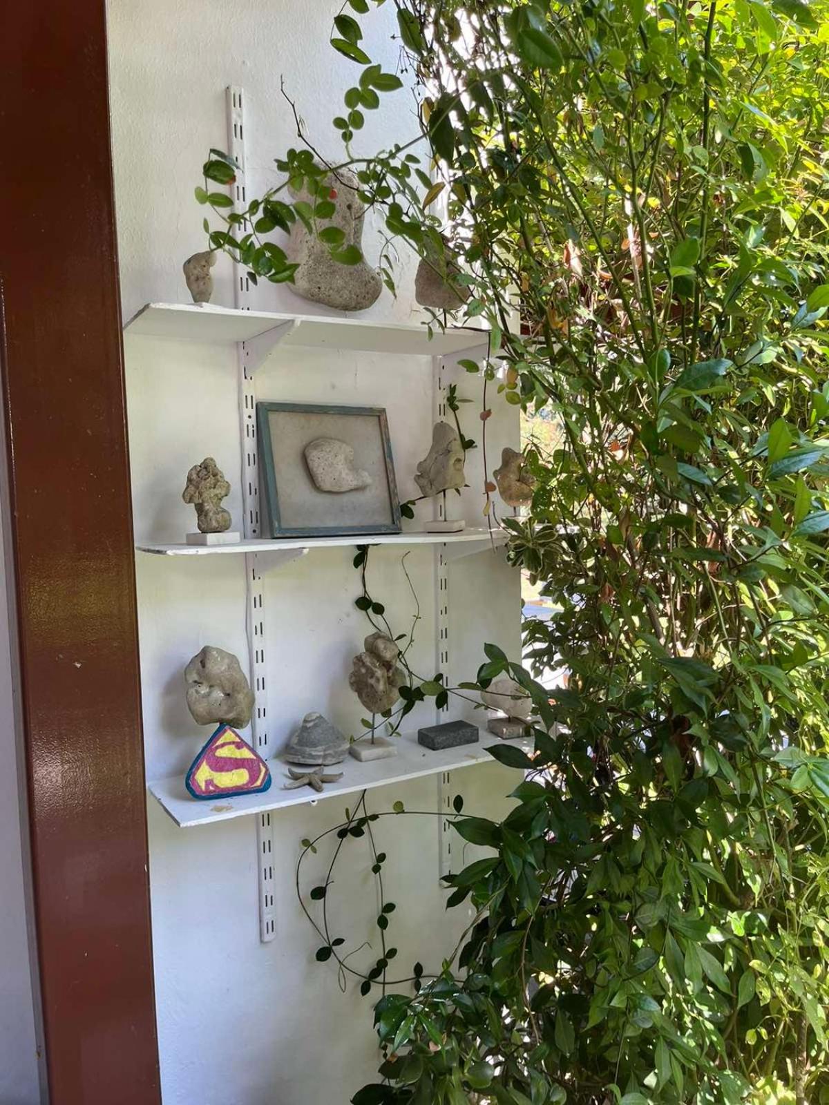 Andromeda Shell House