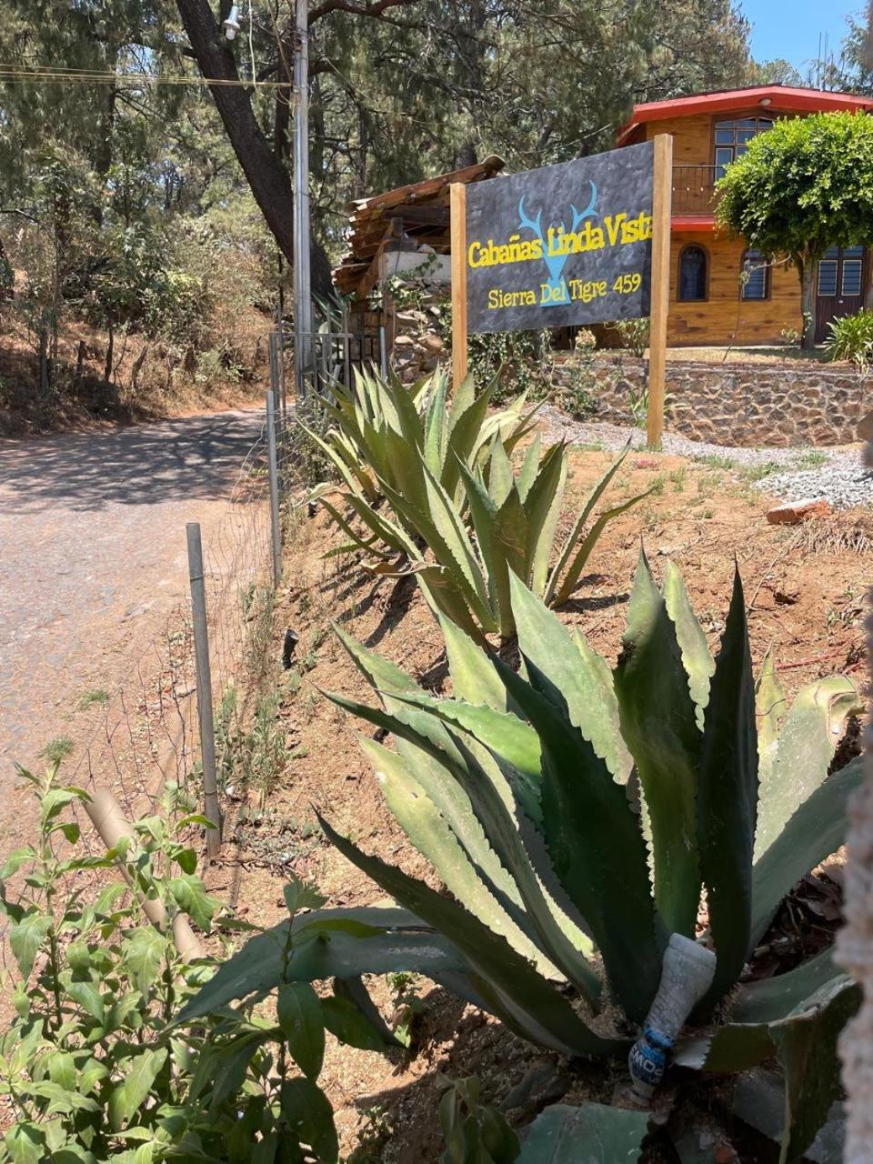 Linda Vista 5