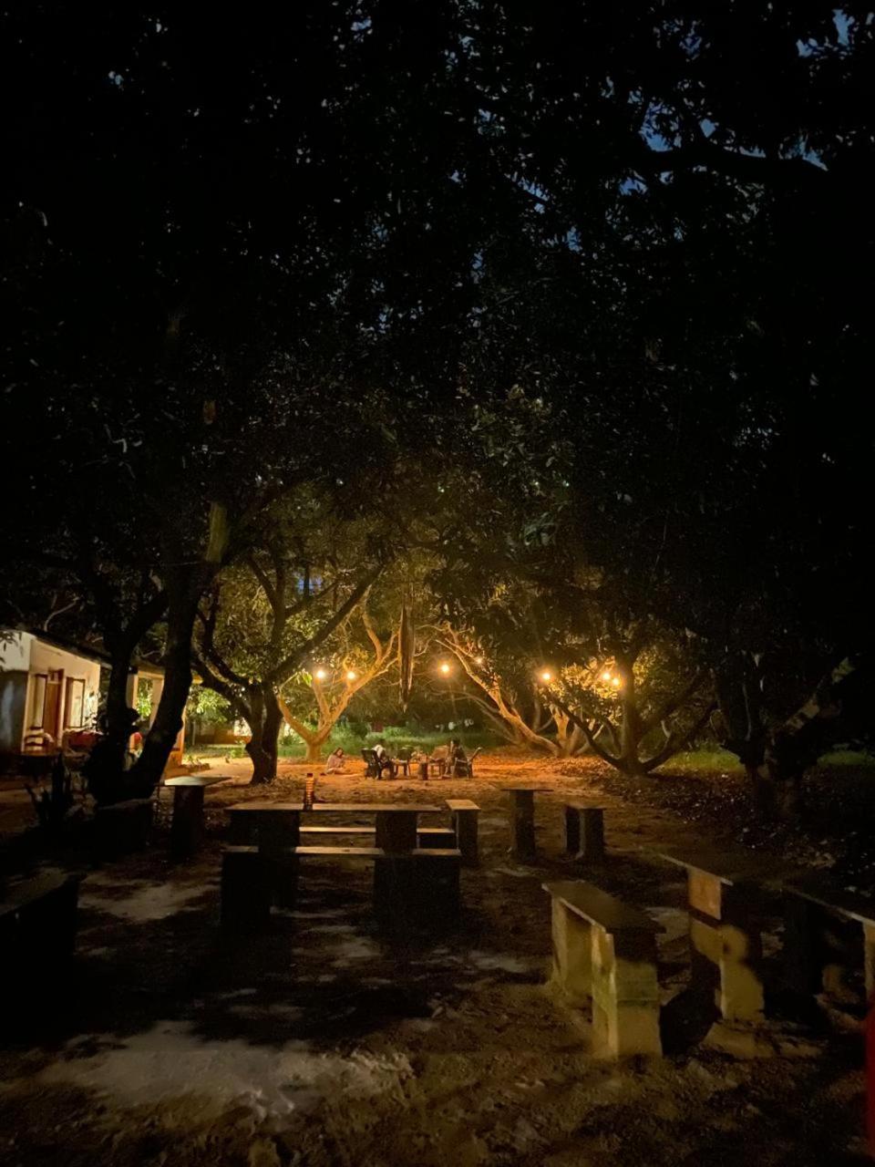 Art Forest