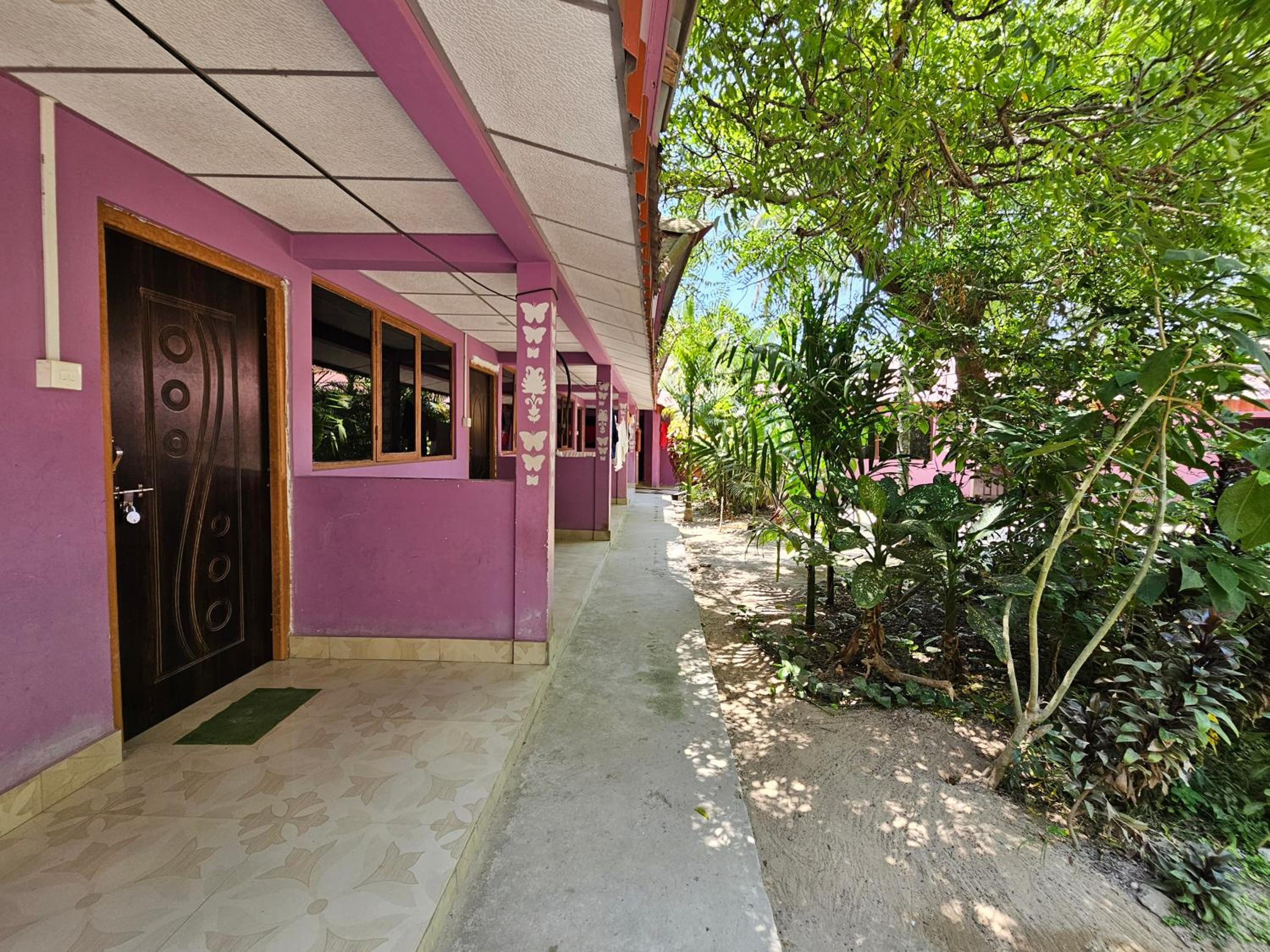 Photo 6