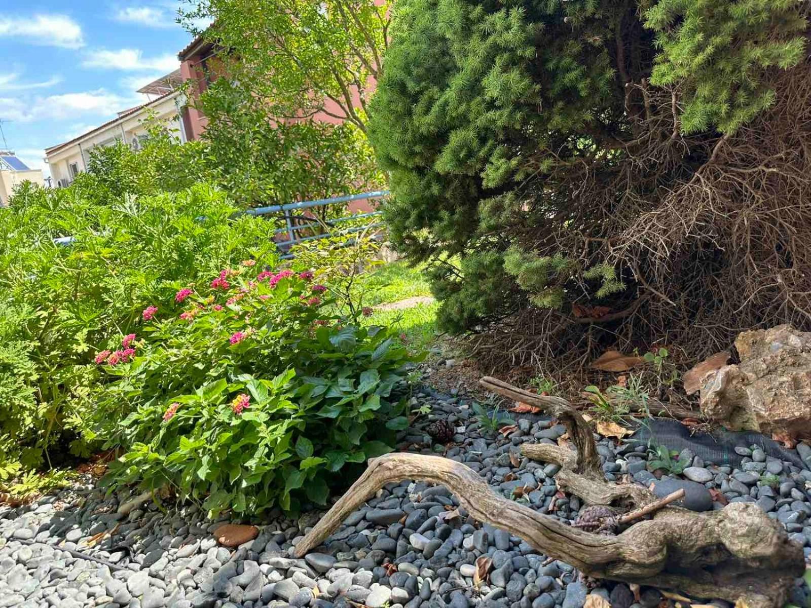 Sunny Garden