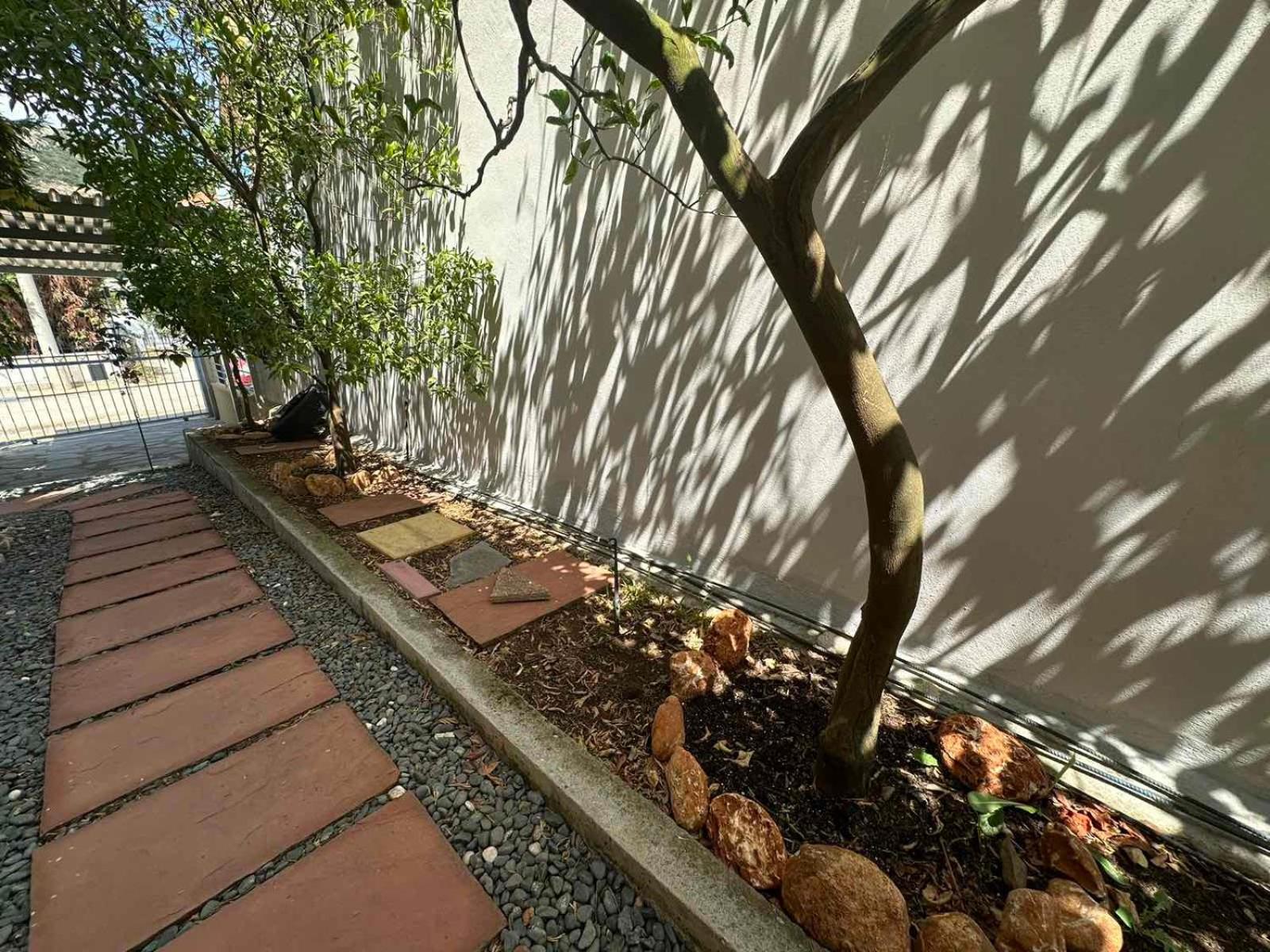 Sunny Garden