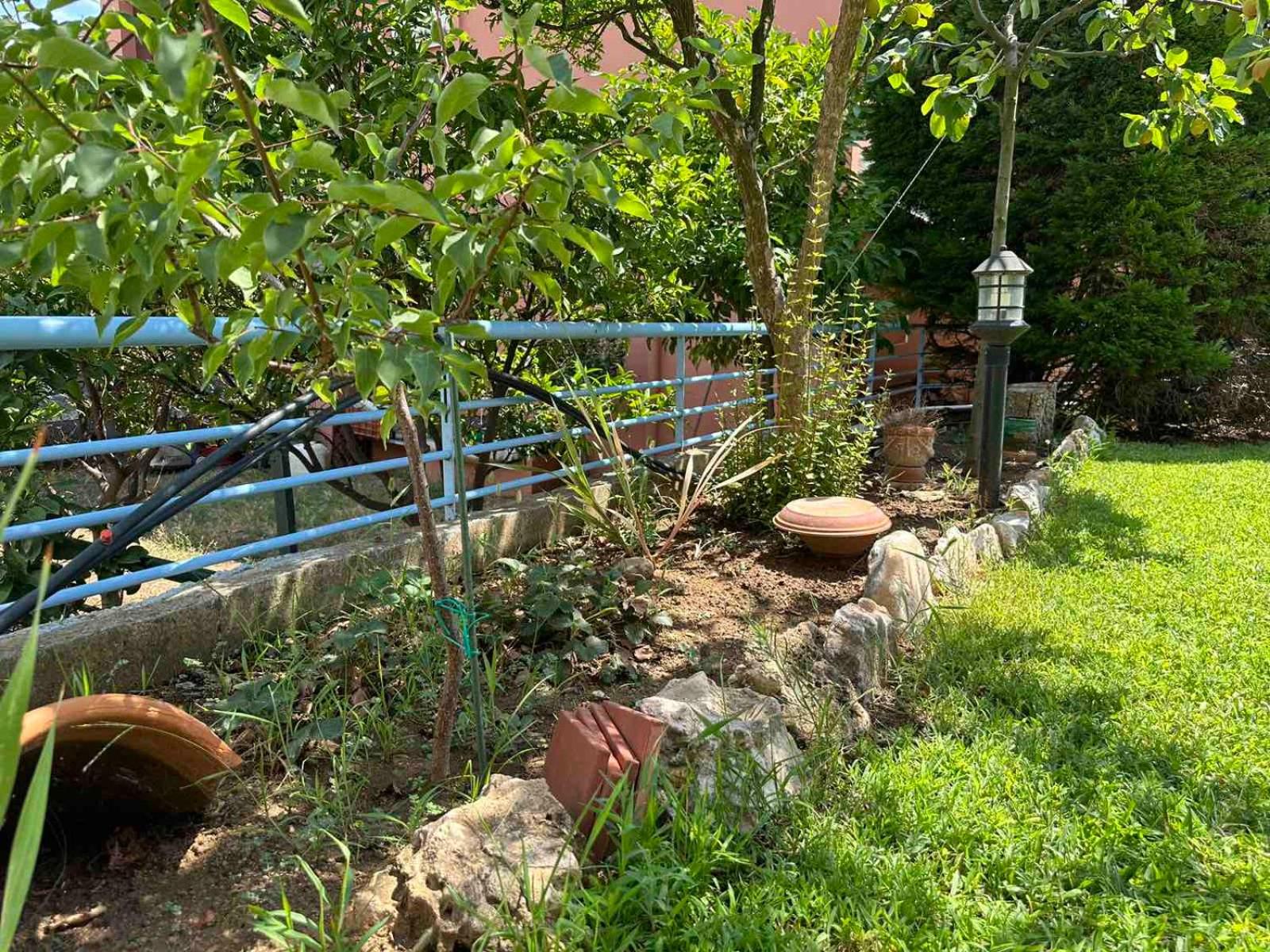 Sunny Garden