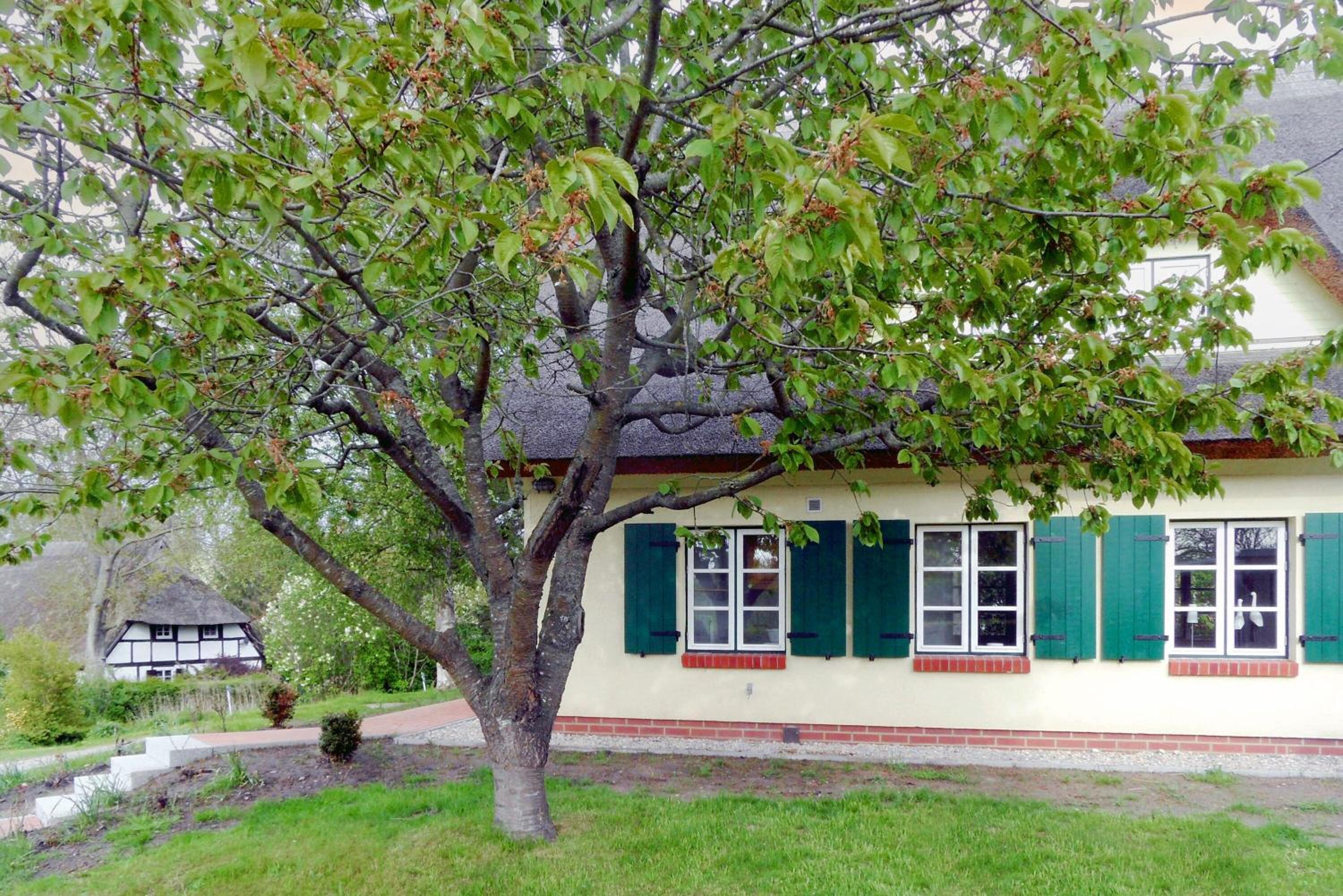 Ferienhaus Preetz 1A - Idylle unter Reet