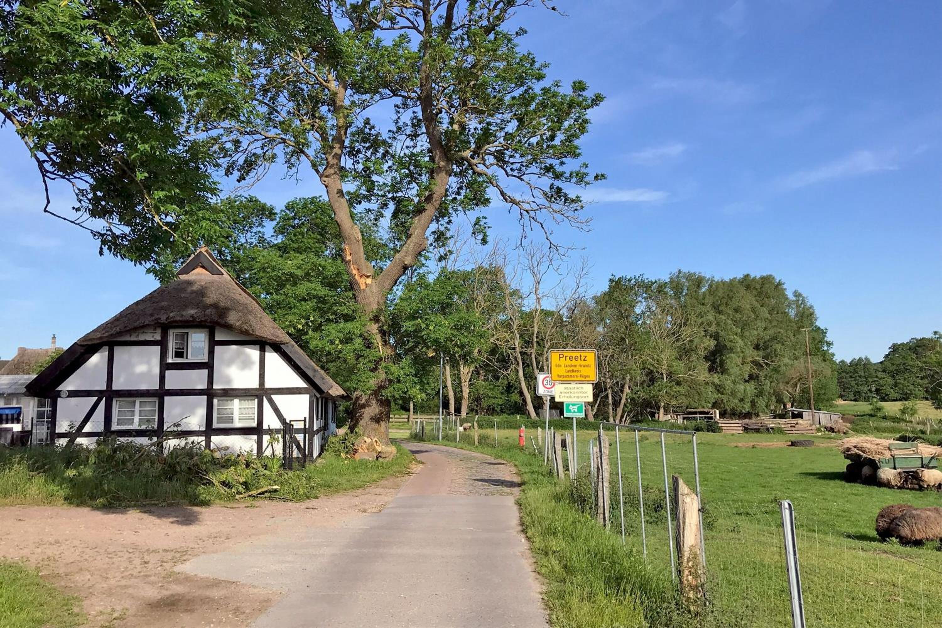 Ferienhaus Preetz 1A - Idylle unter Reet