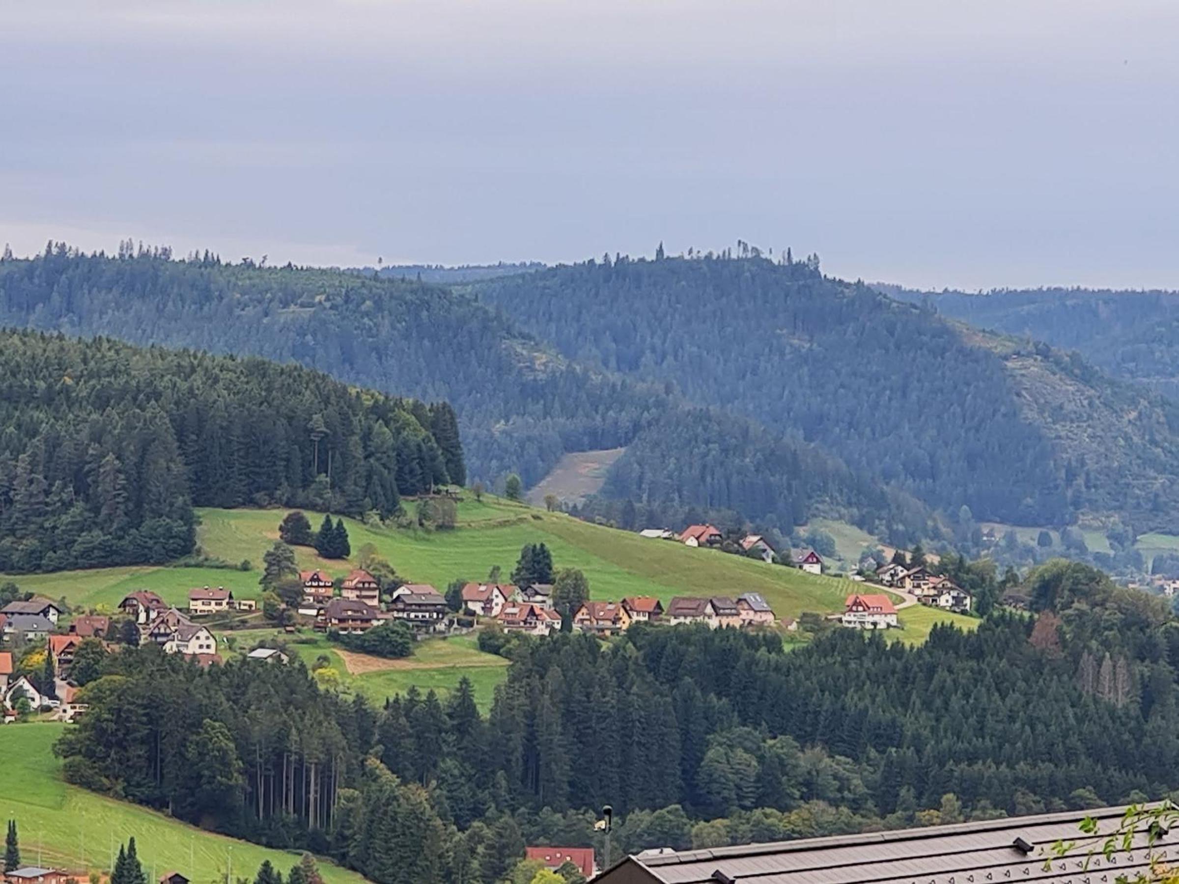 Ferienwohnung am Wald