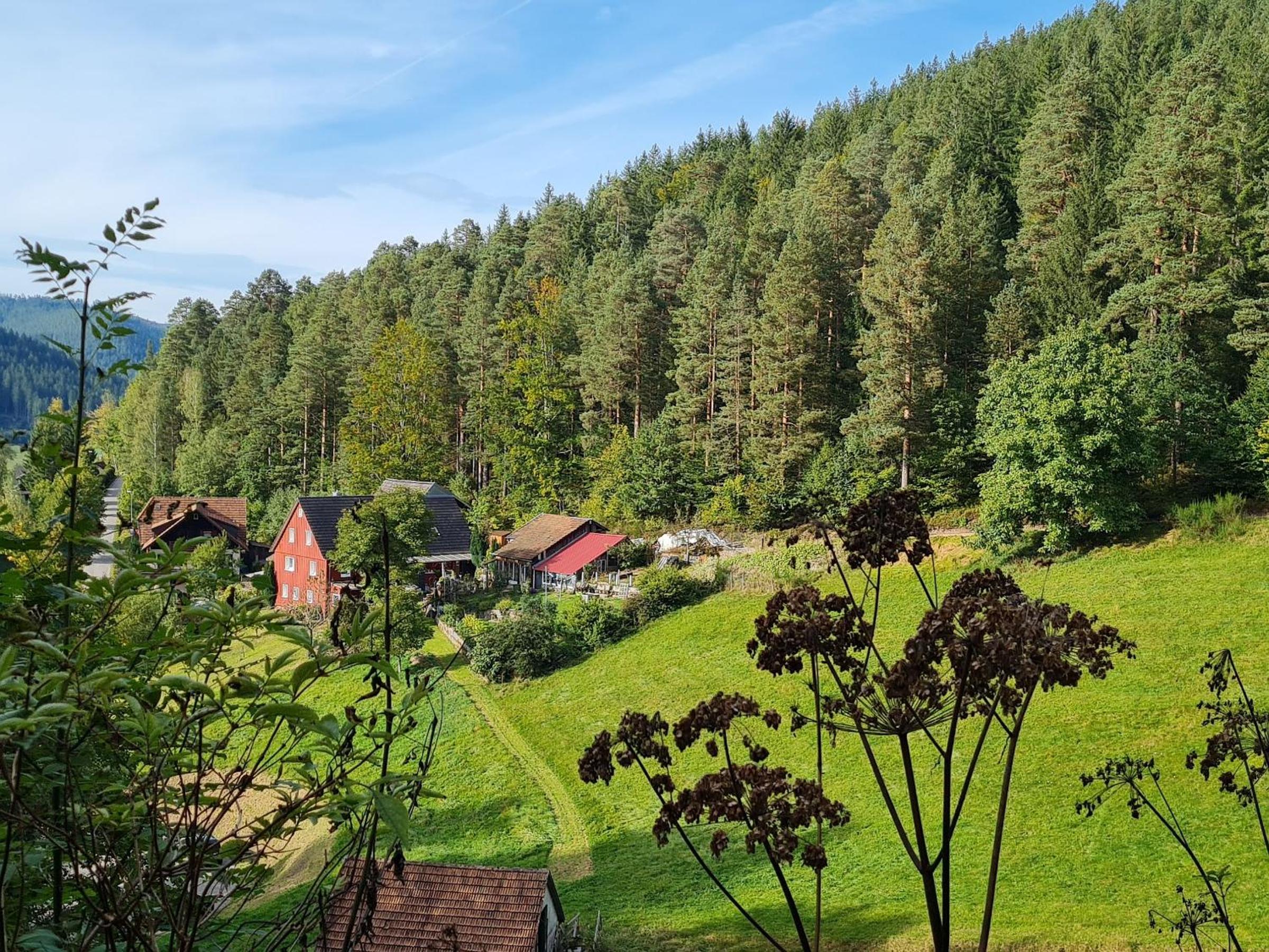Ferienwohnung am Wald