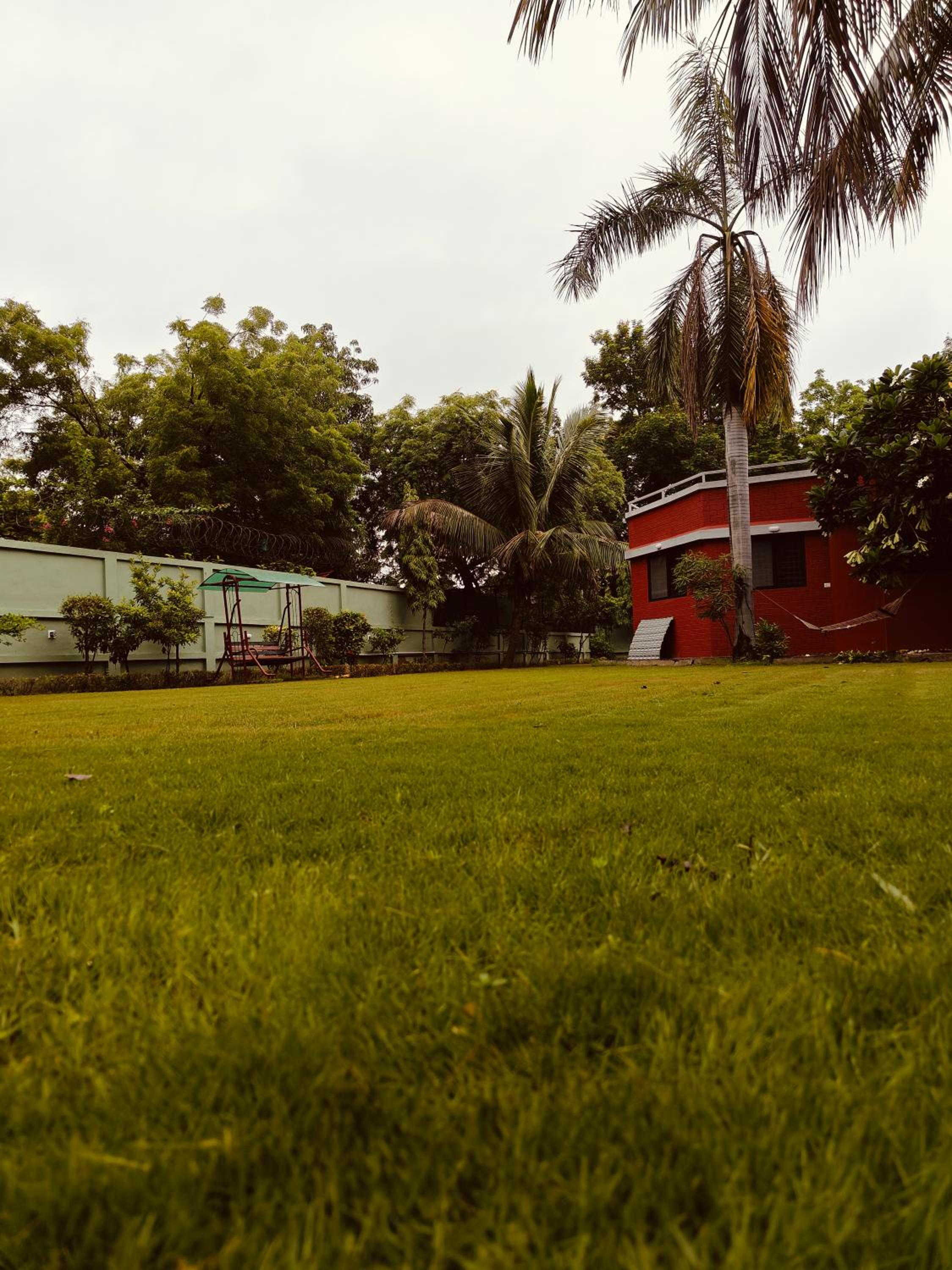 Photo 44