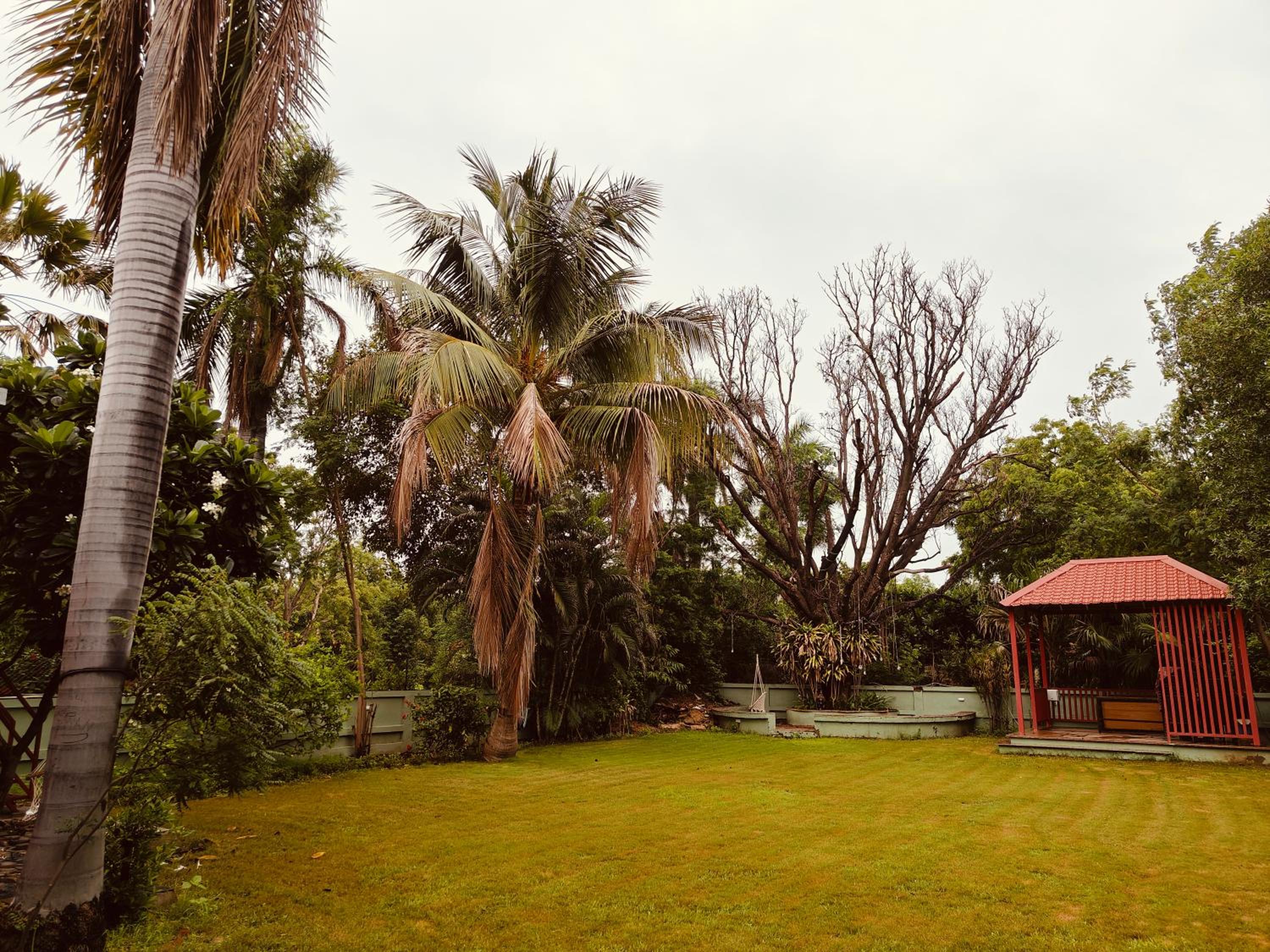 Photo 47