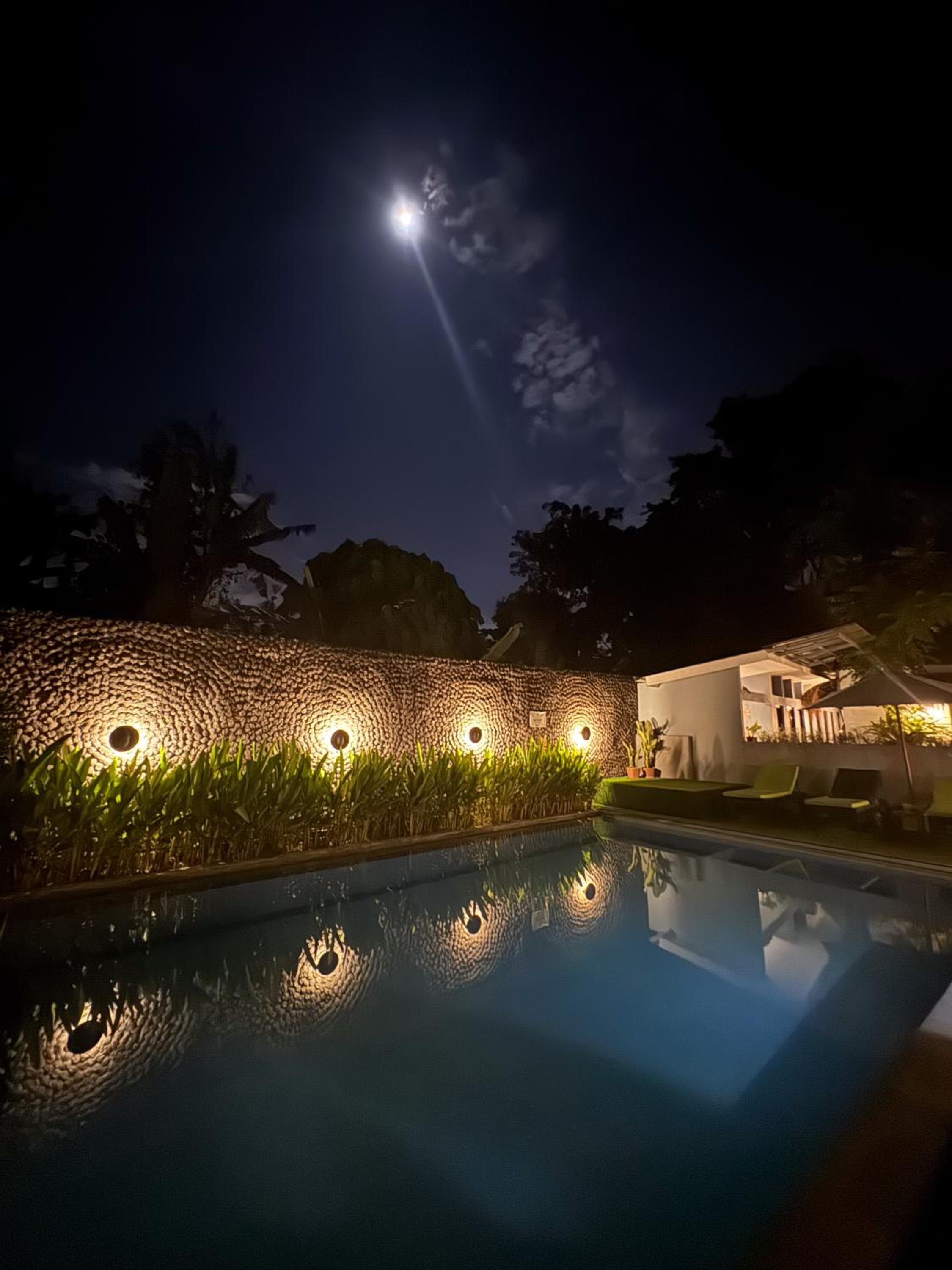 The Jungle Hostel Canggu — photo 49
